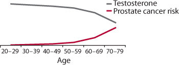 Reference: Morgentaler A. Testosterone and Prostate Cancer: An Historical Perspective on a Modern Myth. European Urology 2006;50: 935–39. PMID: 16875775.