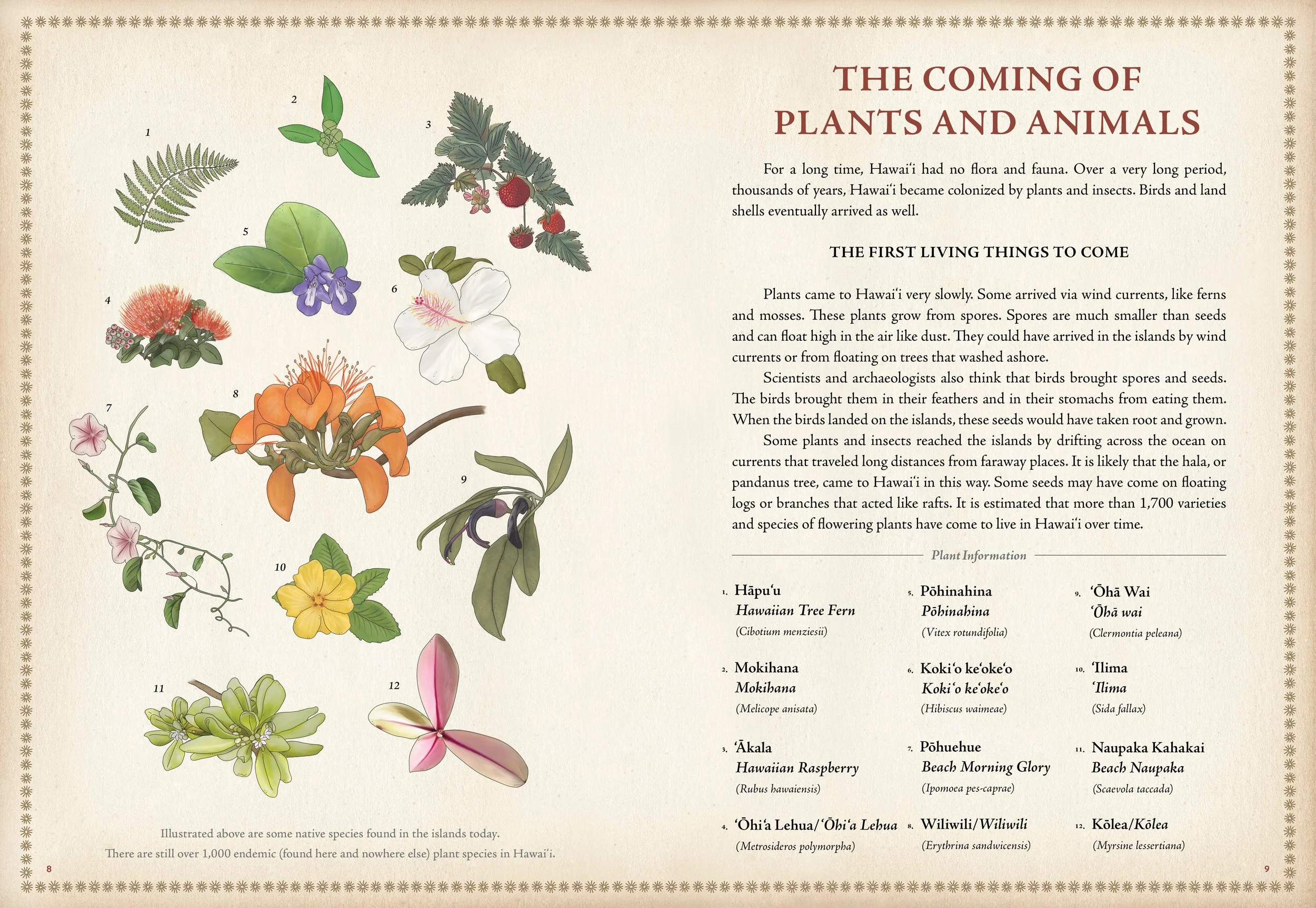 Hawaii Map Book FInal p10_11IG.jpg