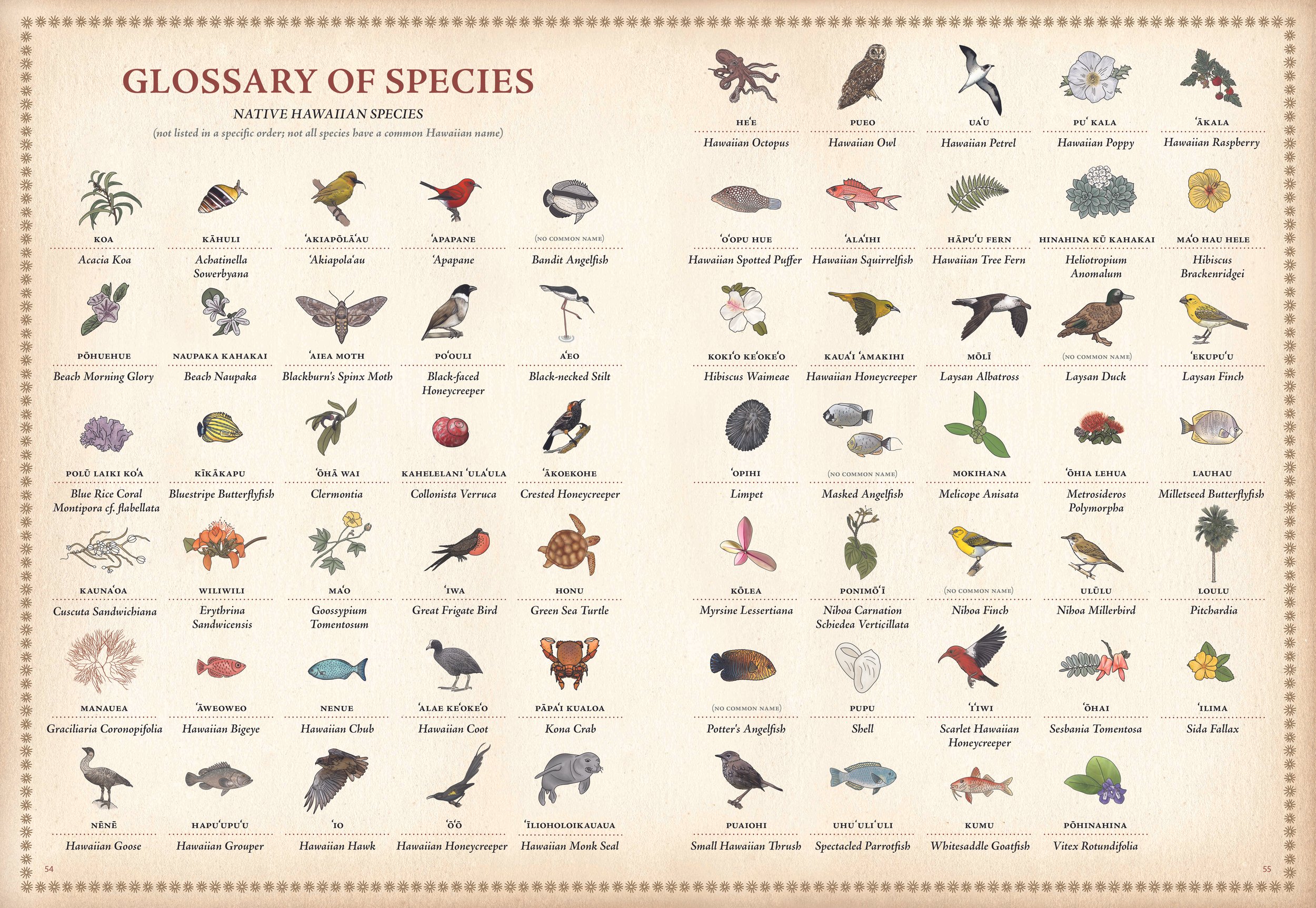 Hawaii Map Bookp54.jpg