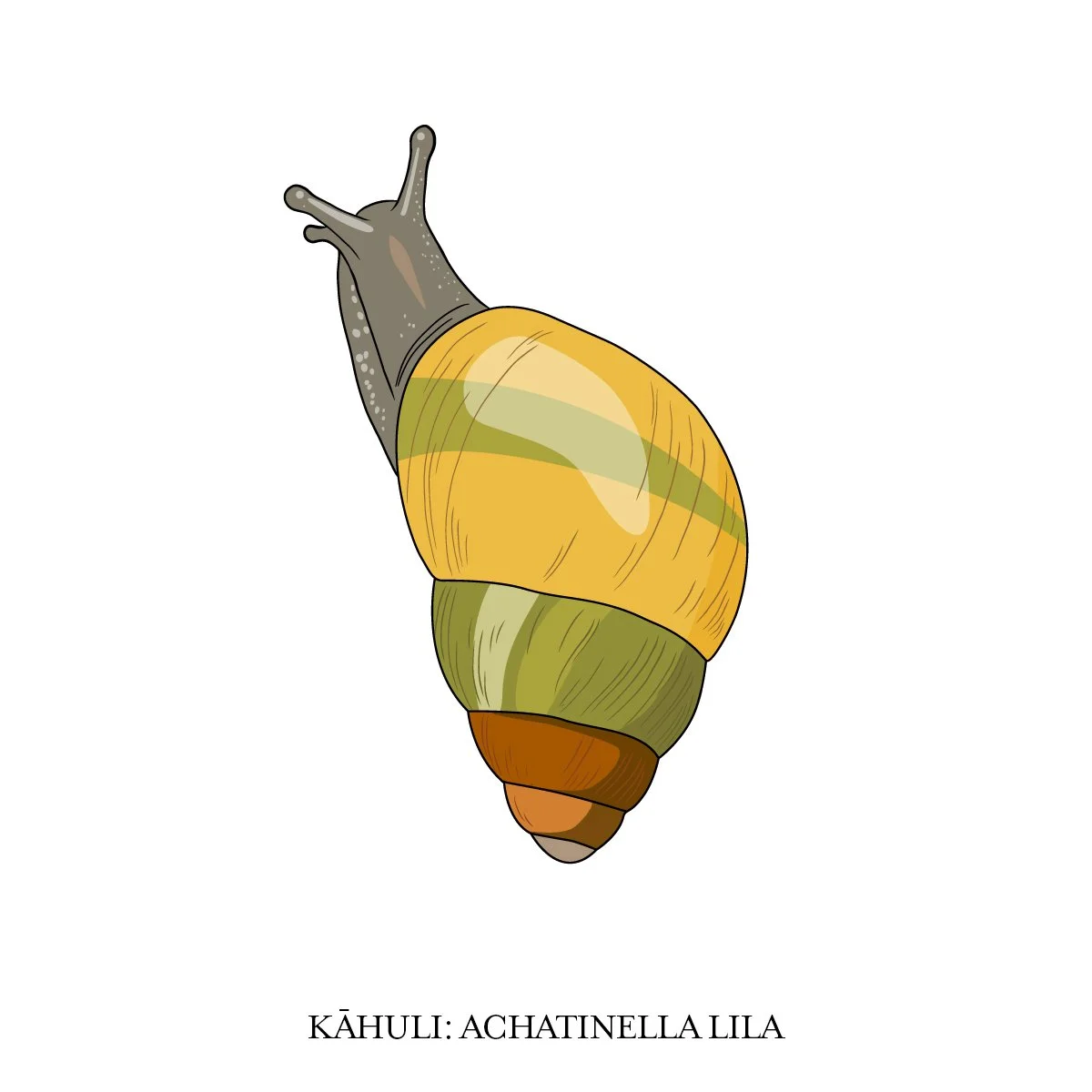 LTrangmar_KahuliAL.jpg