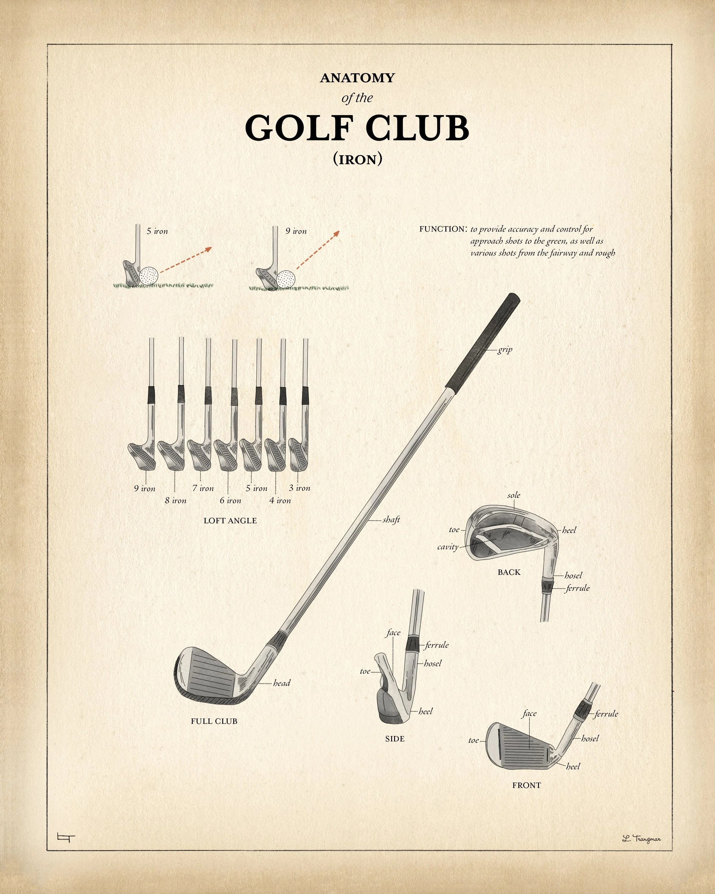 LTrangmar_Anatomy_golf_iron.jpg