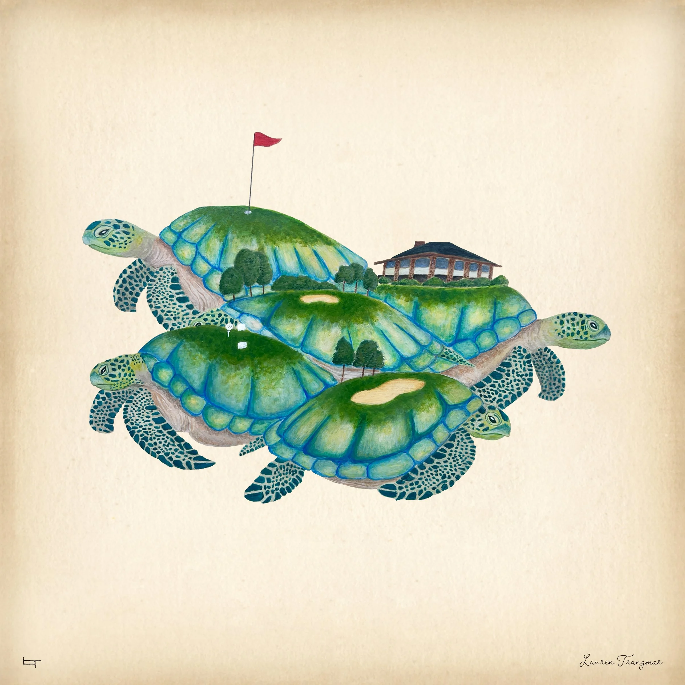Green_seaturtles_occ.jpg