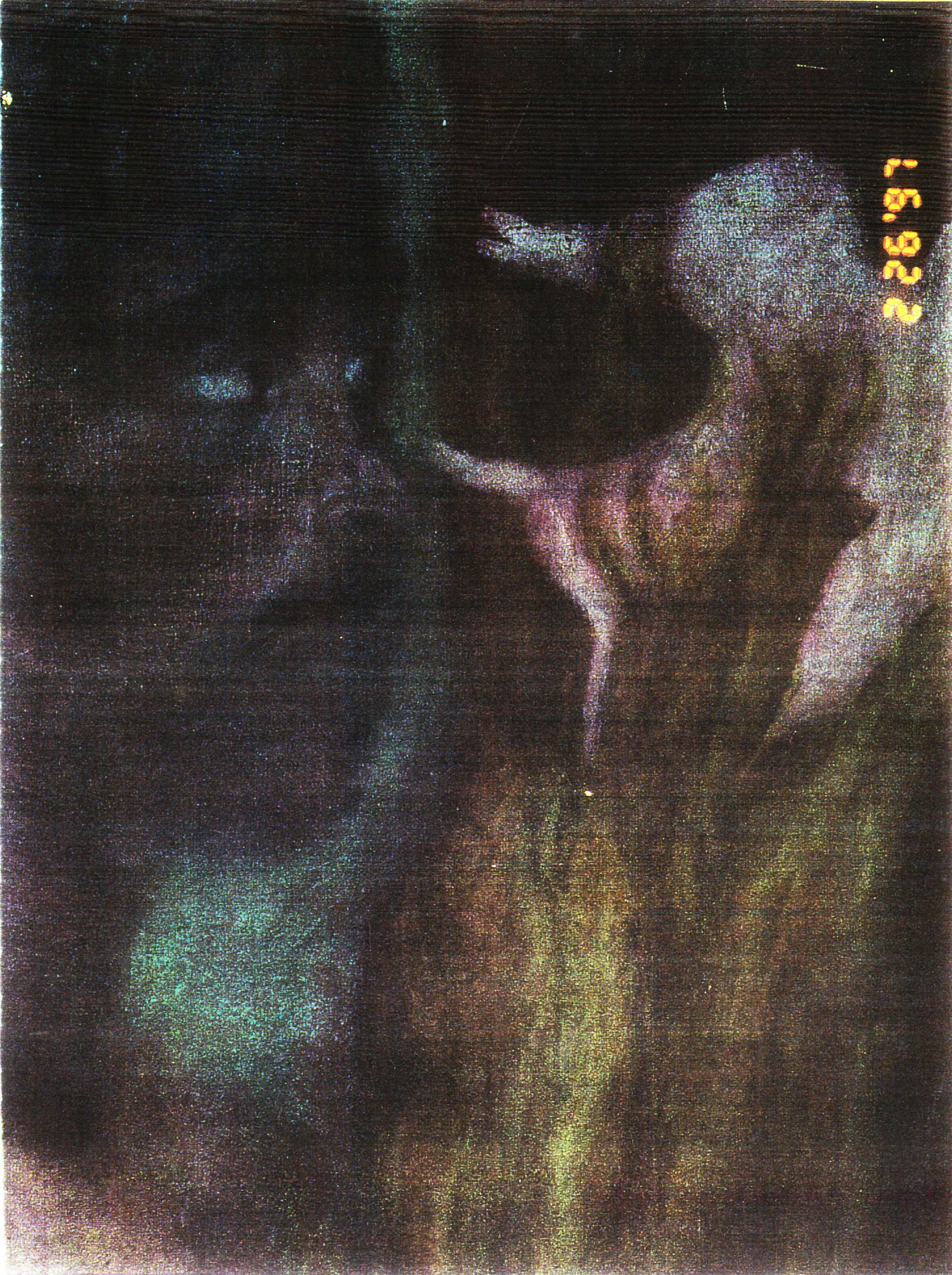 p2.21.jpg