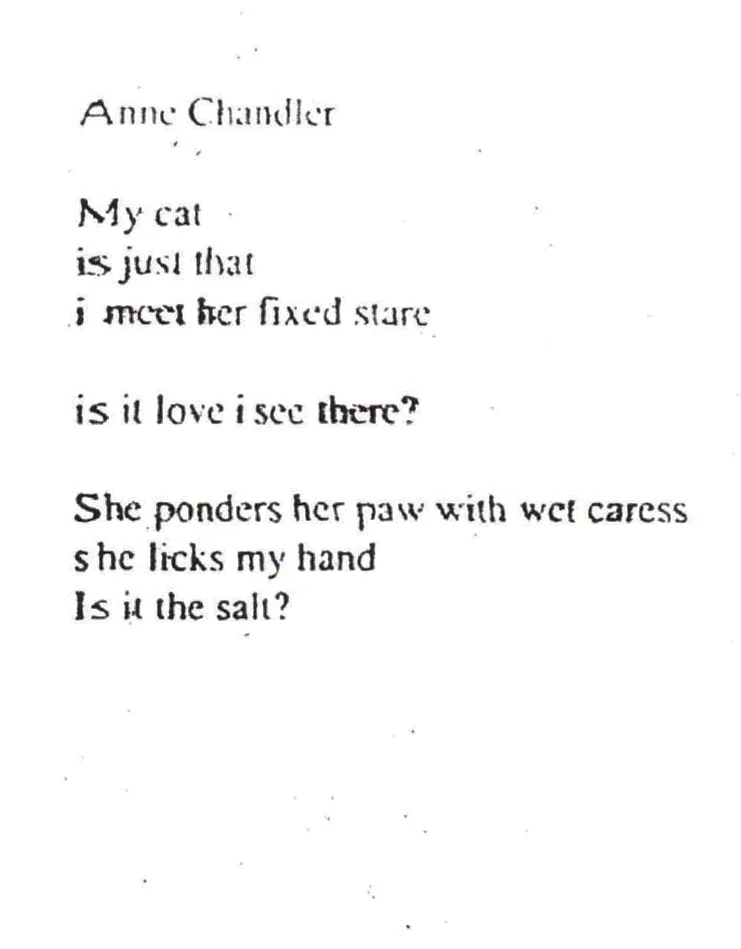 p3.26.jpg