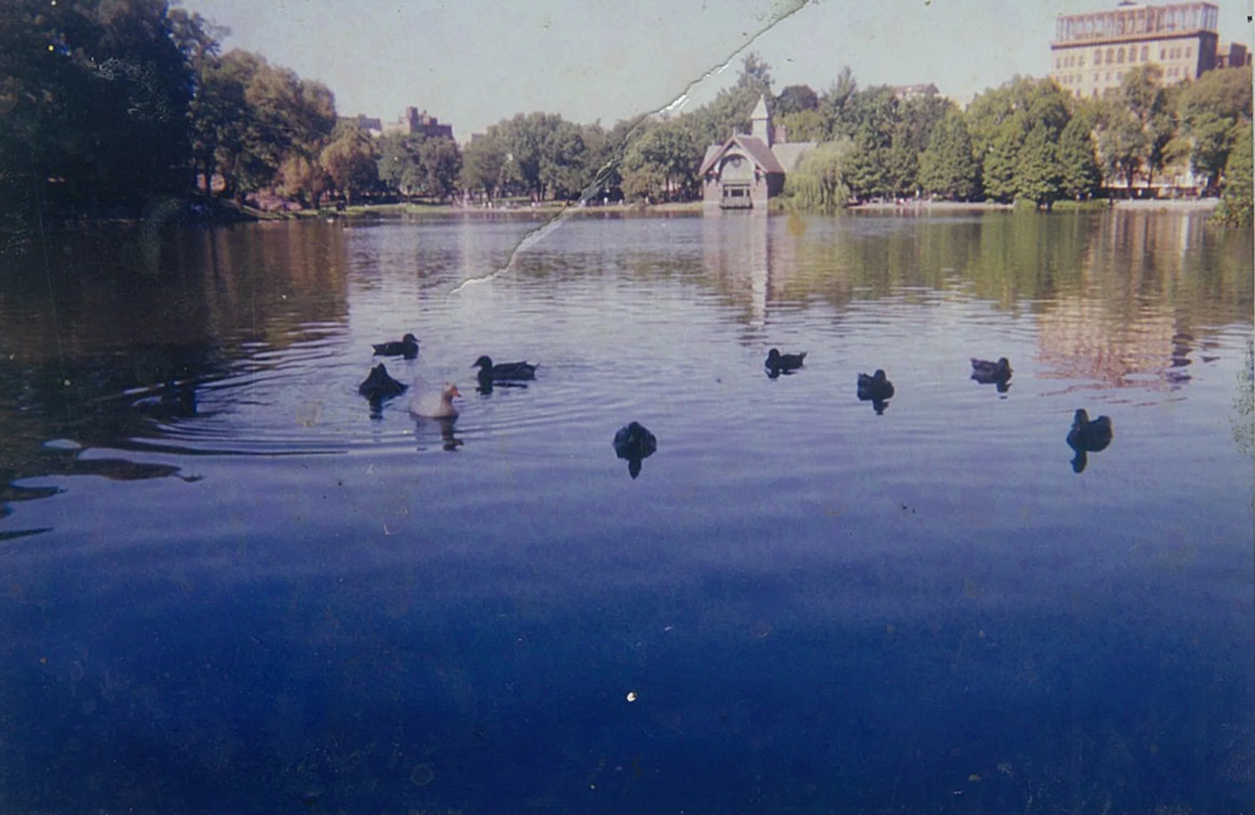 Pictures in Book-20.jpg