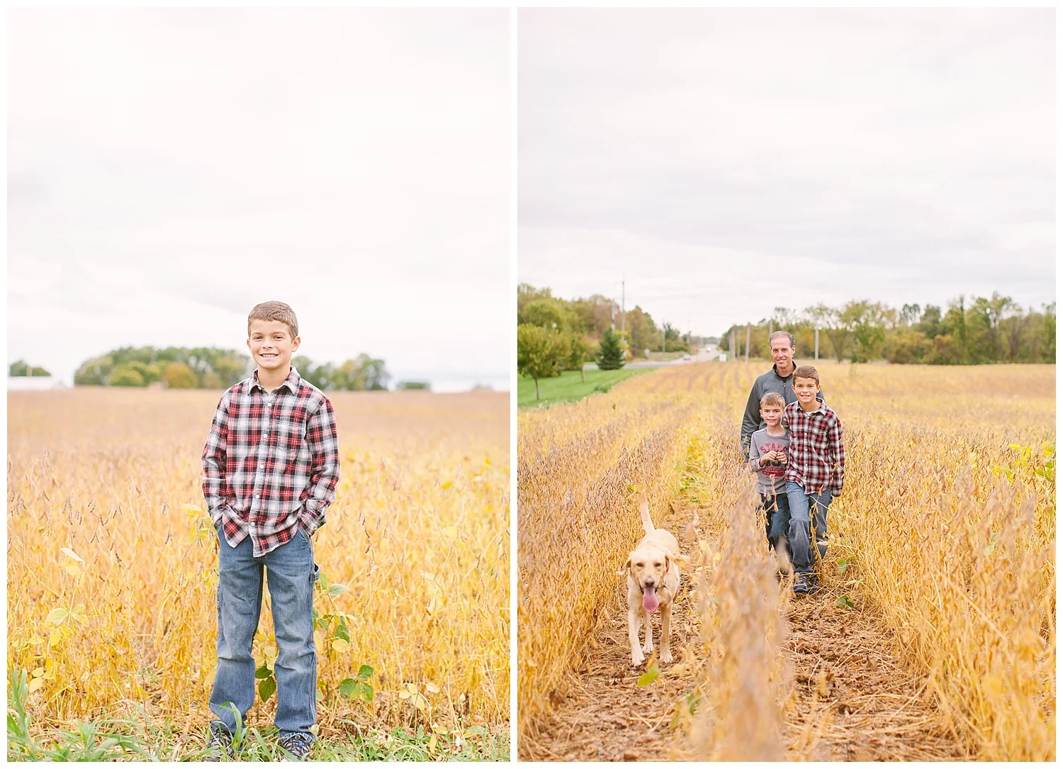 minnesota-lifestyle-golden-field-photos-by-hyojin-oberg-0011.JPG