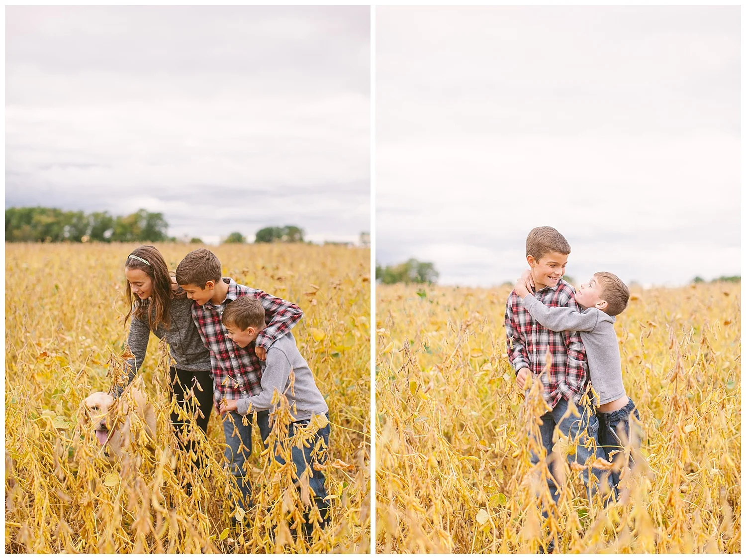 minnesota-lifestyle-golden-field-photos-by-hyojin-oberg-0014.JPG