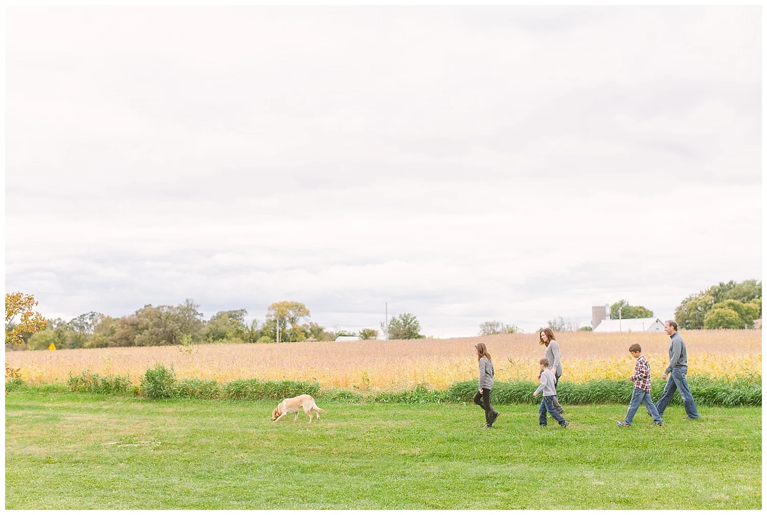 minnesota-lifestyle-golden-field-photos-by-hyojin-oberg-0021.JPG