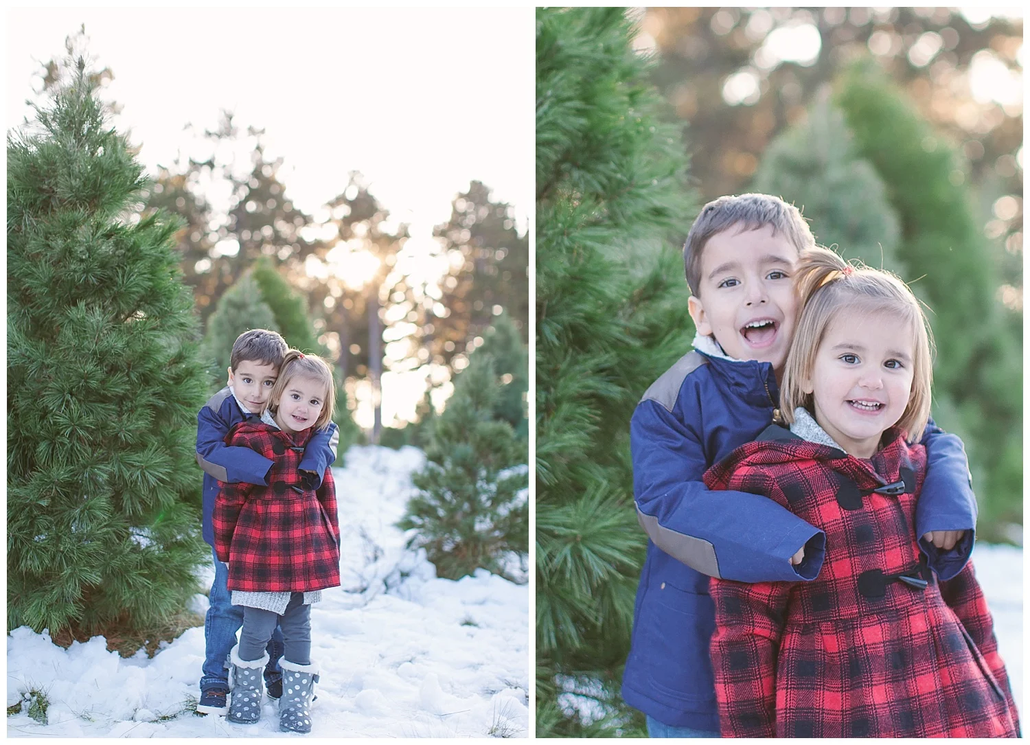 Minnesota-winter-tree-farm-family-photos-by-hyojin-oberg-0152.JPG