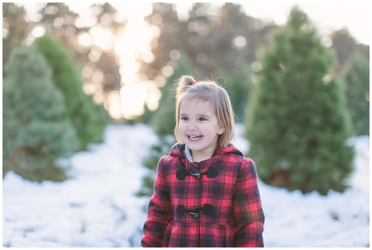 Minnesota-winter-tree-farm-family-photos-by-hyojin-oberg-0157.JPG