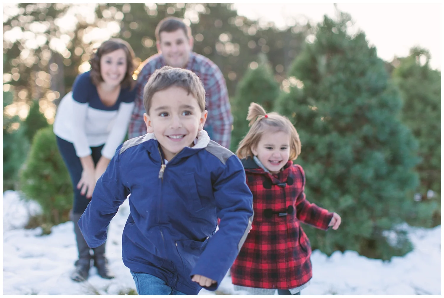 Minnesota-winter-tree-farm-family-photos-by-hyojin-oberg-0158.JPG