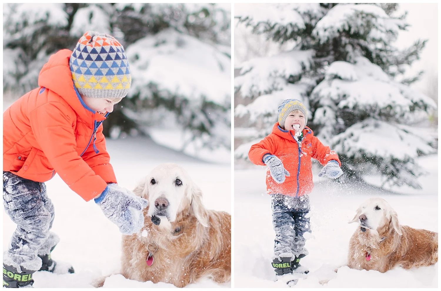 minnesota-winter-lifestyle-family-dog-photos-by-hyojin-oberg-18.JPG