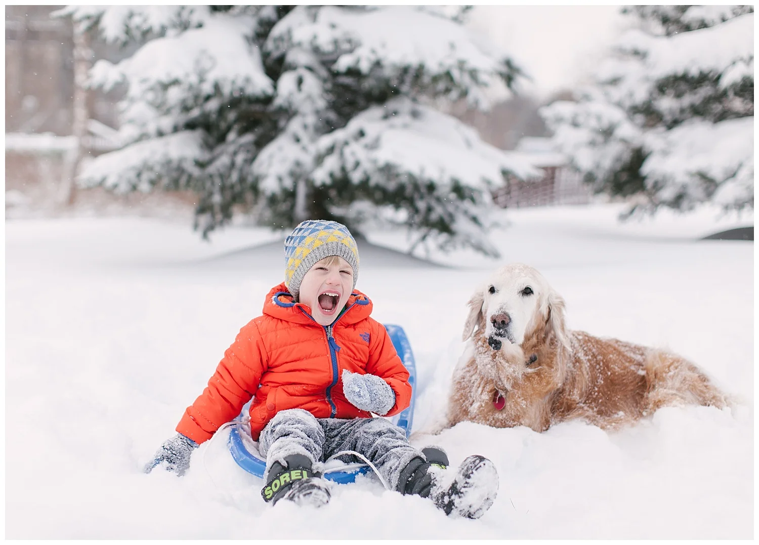 minnesota-winter-lifestyle-family-dog-photos-by-hyojin-oberg-21.JPG