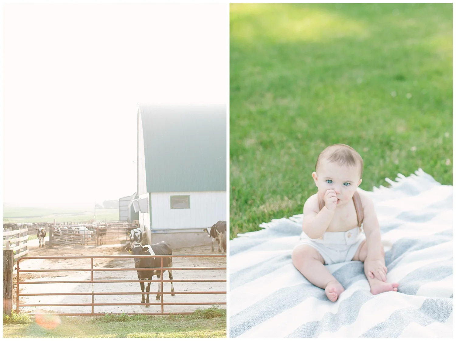 davidson-family-farmland-photos-by-hyojin-oberg-17.JPG