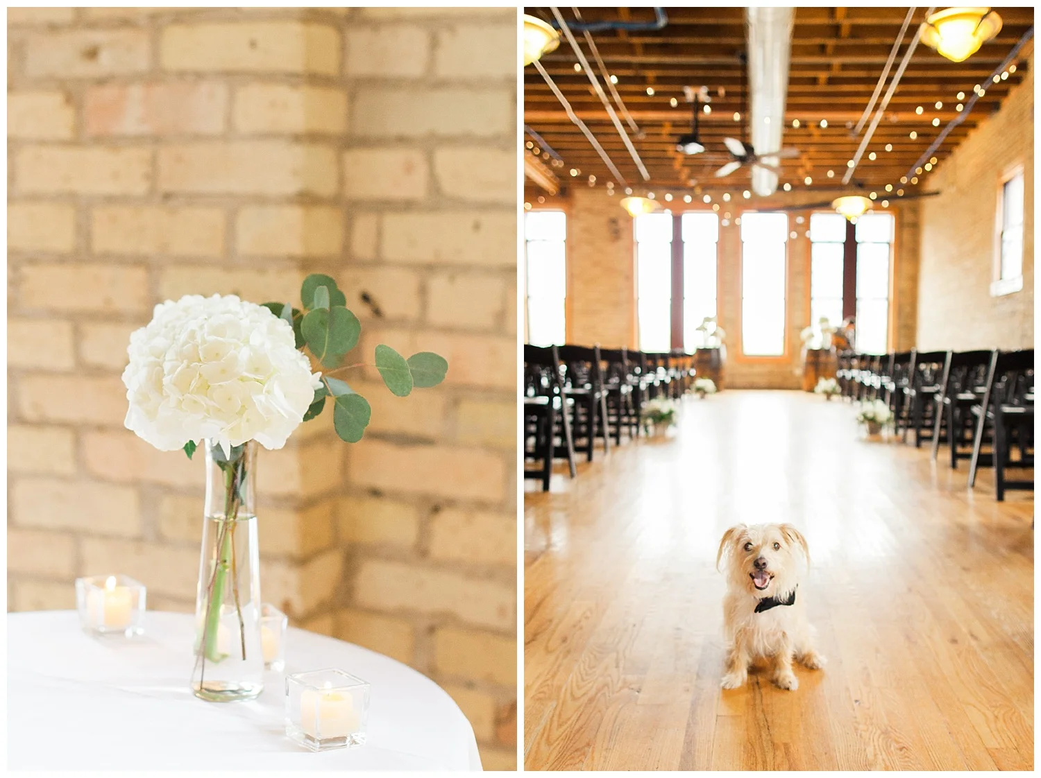 kate-ryan-minneapolis-wedding-photos-by-hyojin-oberg-23.JPG