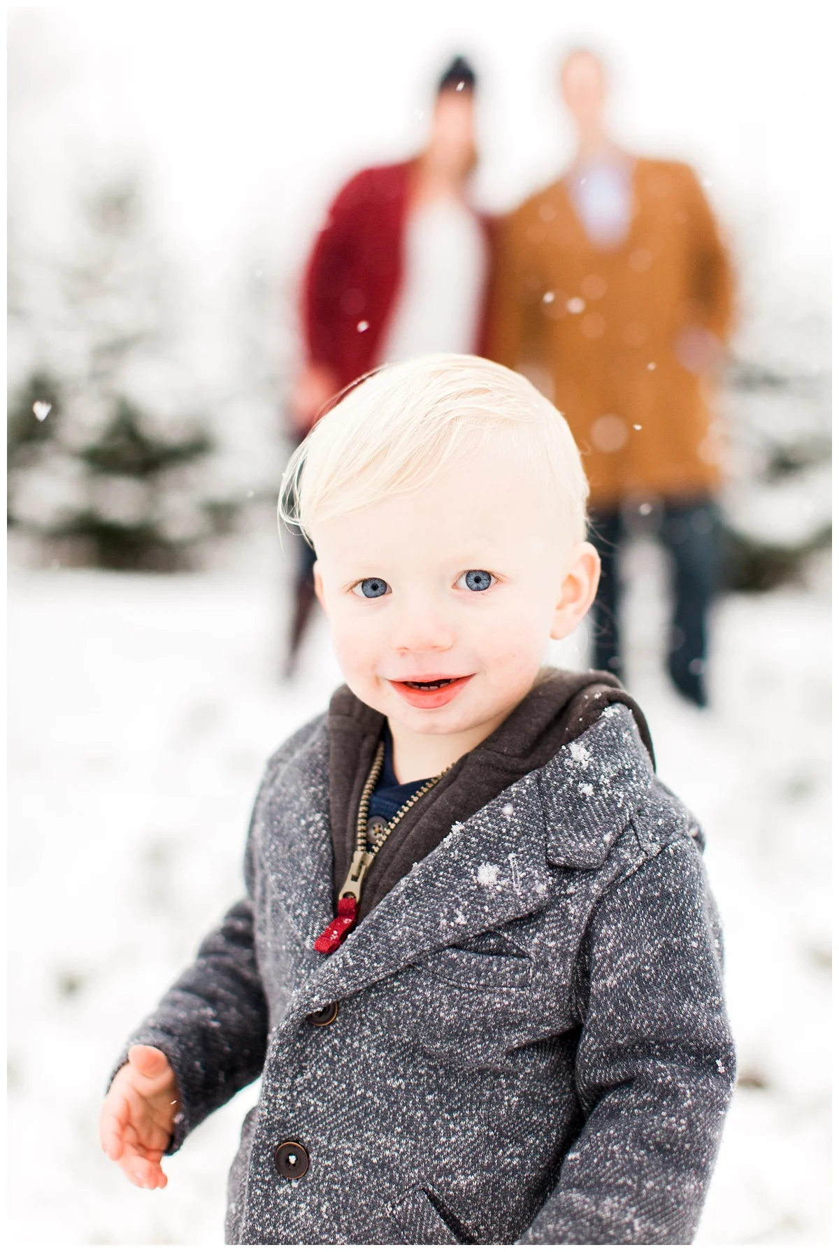 teddy-winter-family-photos-by-hyojin-oberg-11.JPG