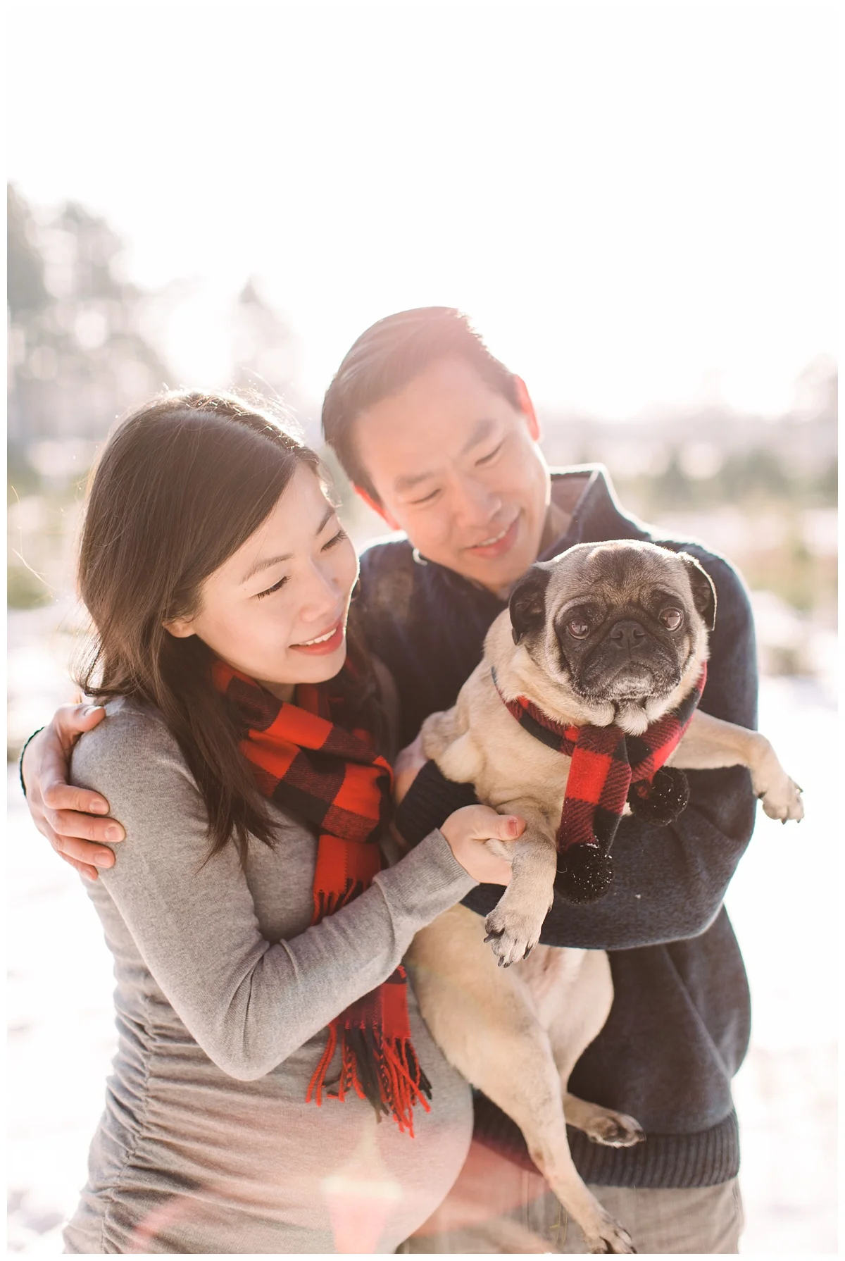 minneapolis rogers maple grove maternity newborn photographer