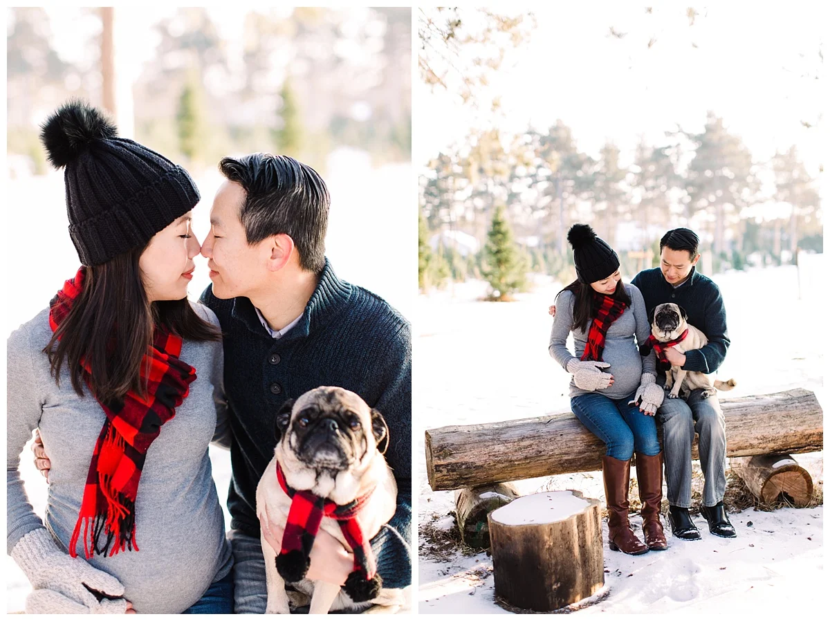 minneapolis rogers maple grove maternity newborn photographer