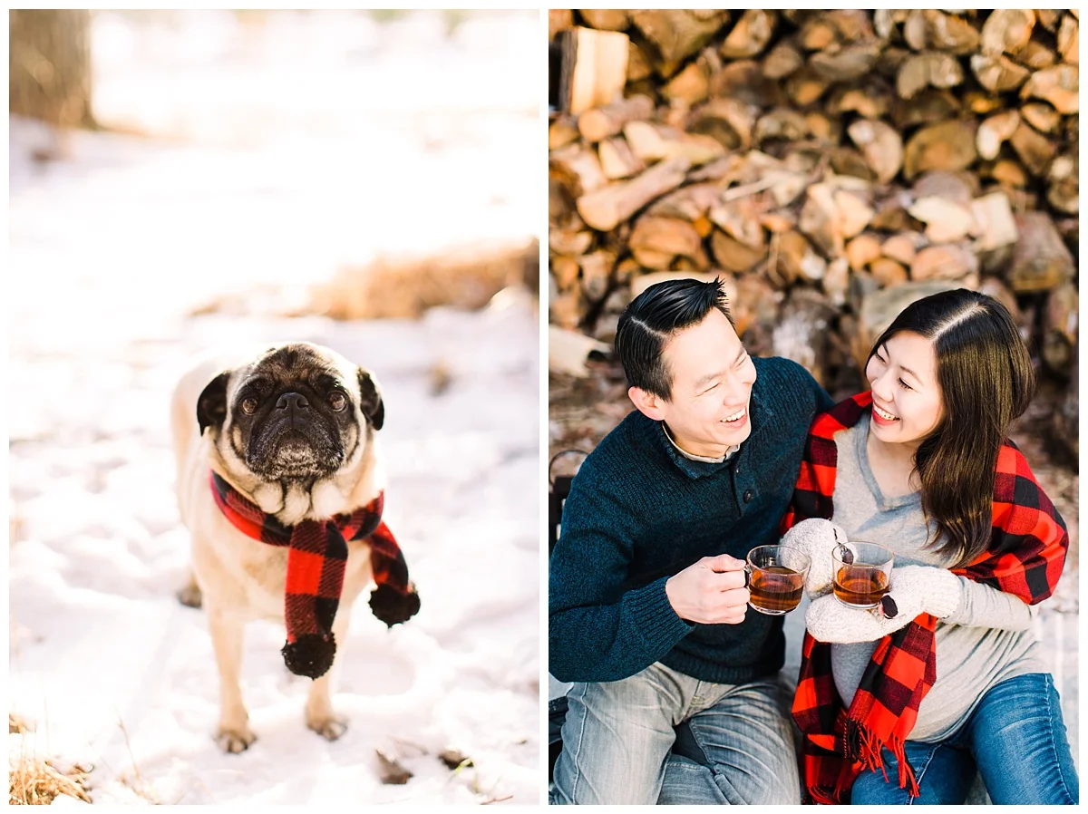 minneapolis rogers maple grove maternity newborn photographer