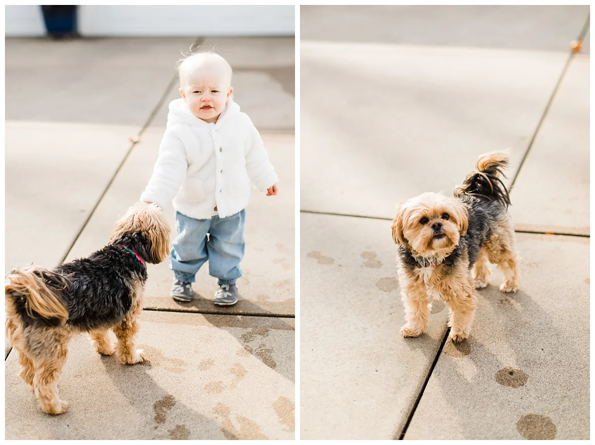 Baby milestone photos | 18 months | in-home lifestyle | Edina Family Photographer | Photos by Hyojin Oberg