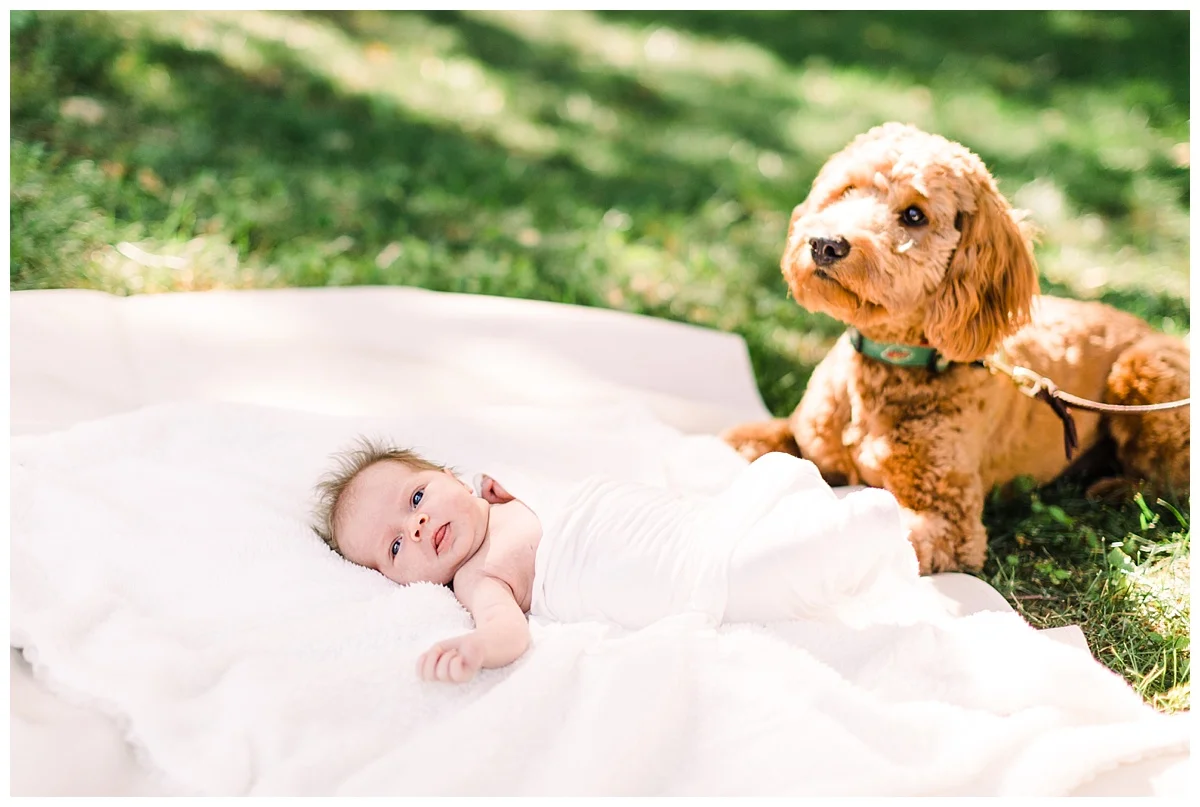 Minneapolis Newborn Photography | Minneapolis Newborn photographer | Minneapolis Family Photographer| natural light photography | in-home newborn session | Photos by Hyojin Oberg 