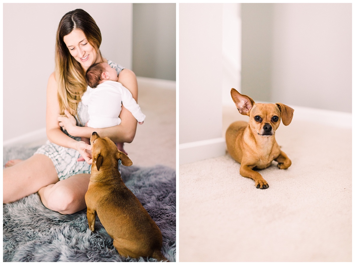 Minneapolis Newborn Photography | Minneapolis Newborn photographer | Minneapolis Family Photographer| Eden Prairie Newborn Photographer | in-home newborn photography | Photos by Hyojin Oberg 