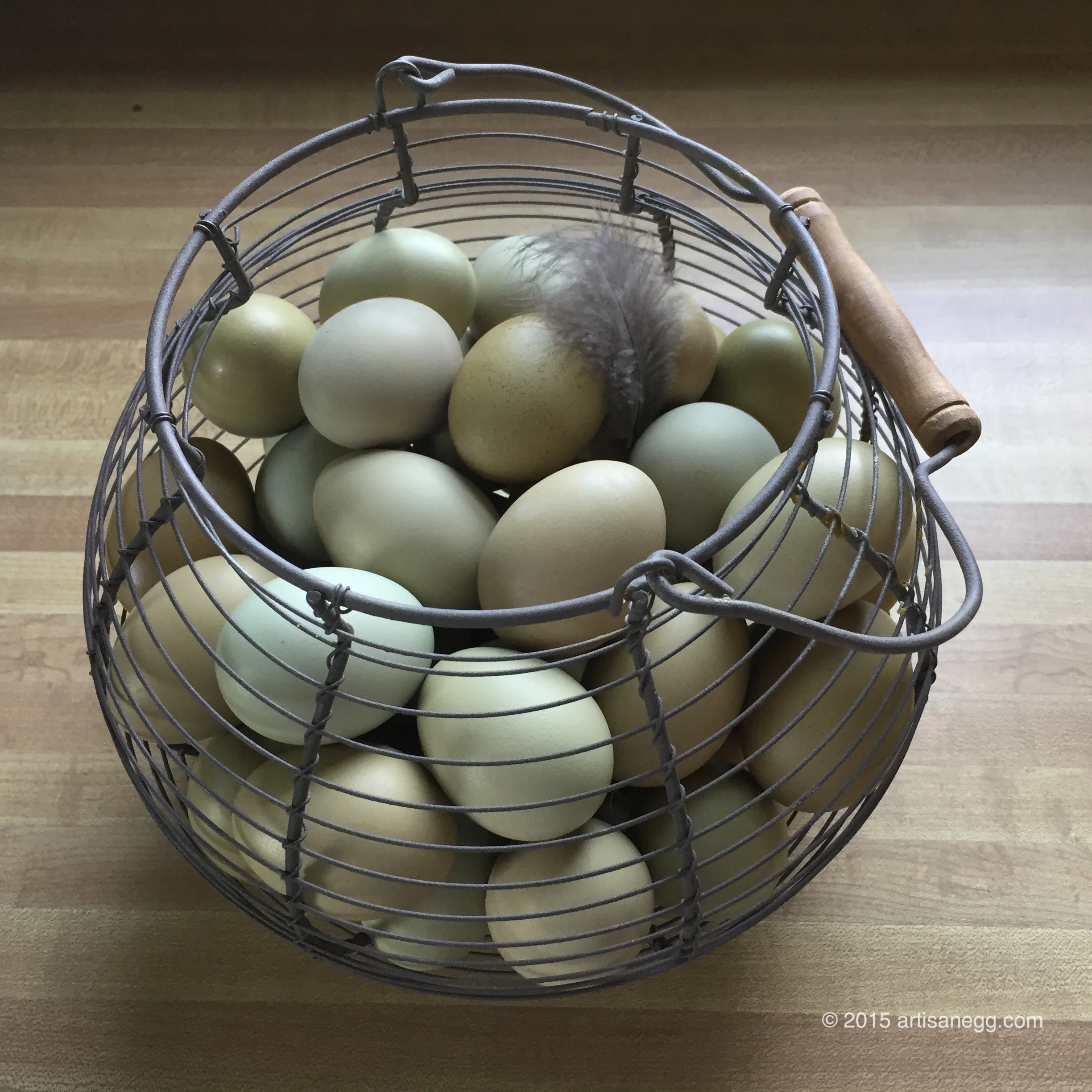 Green Basket.jpg