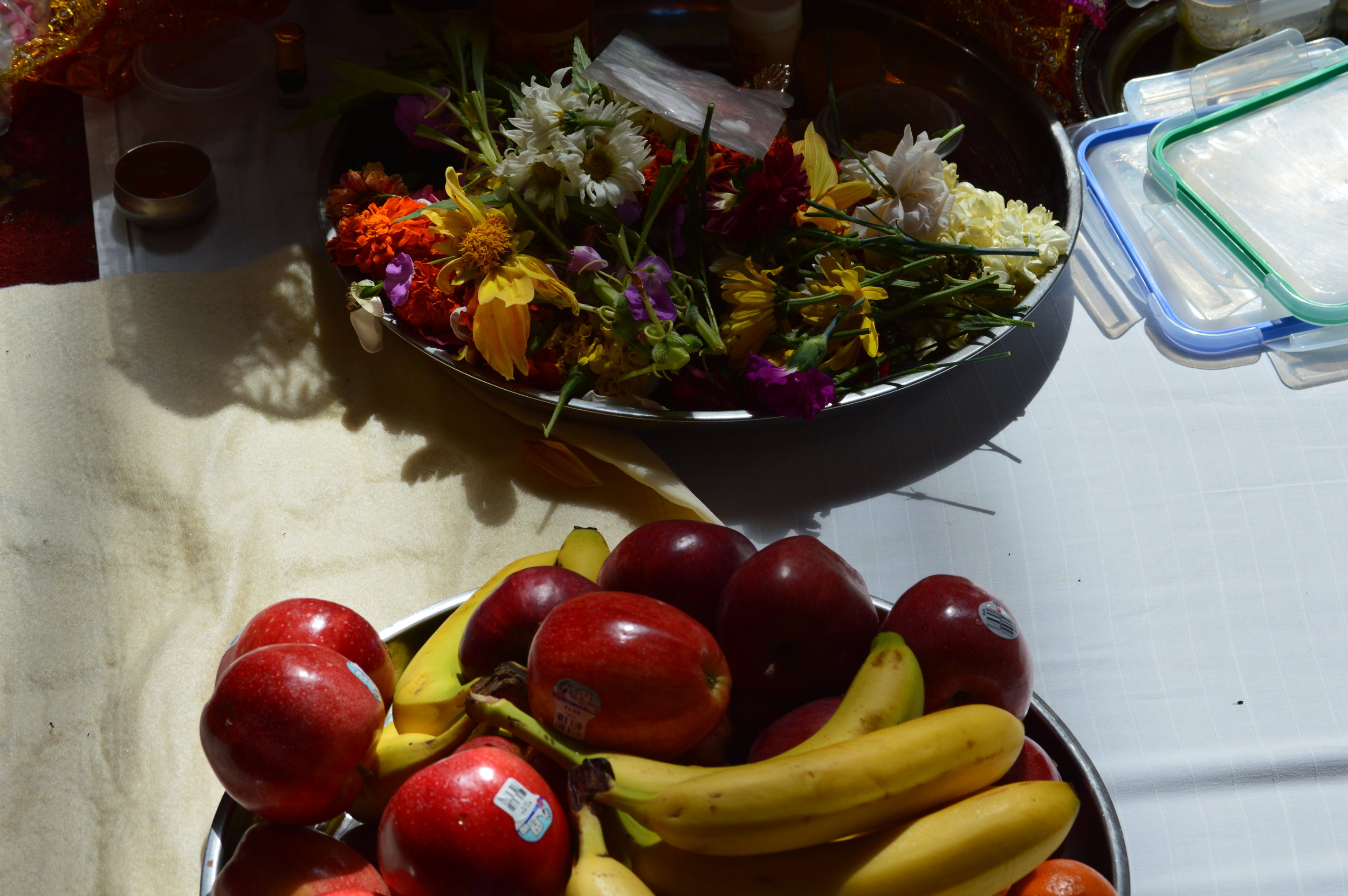 DSC_0680.JPG