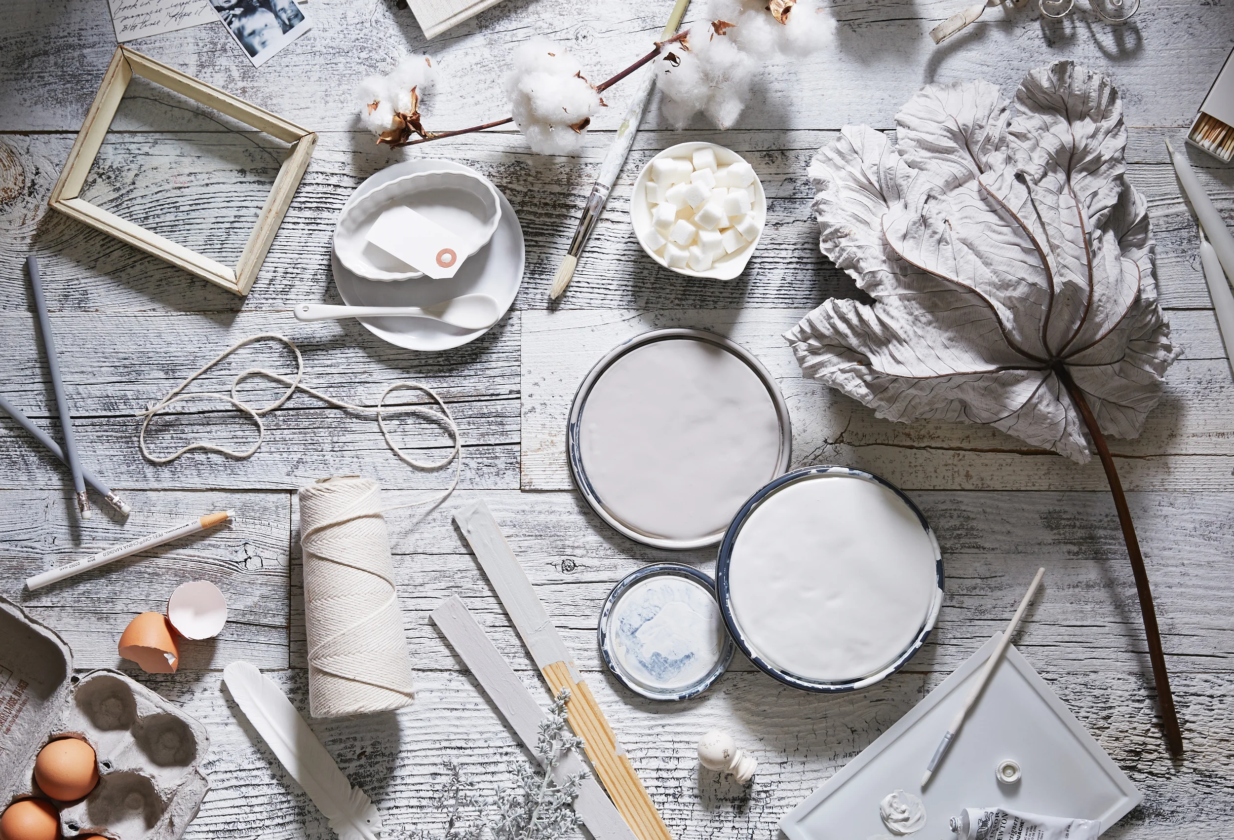 LIFE_HORIZONTAL_WINTER_PALETTE_1 copy.jpg