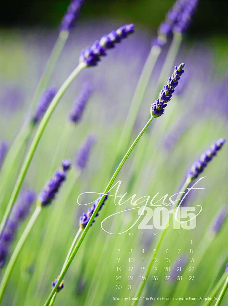 August-2015-web.jpg