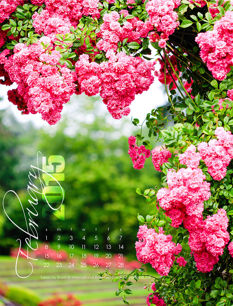 February-2015-web.jpg