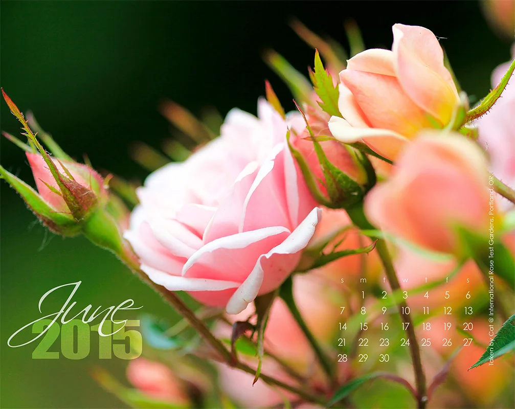 June-2015-web.jpg