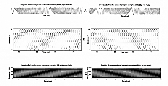 cochlear slideshow3.png