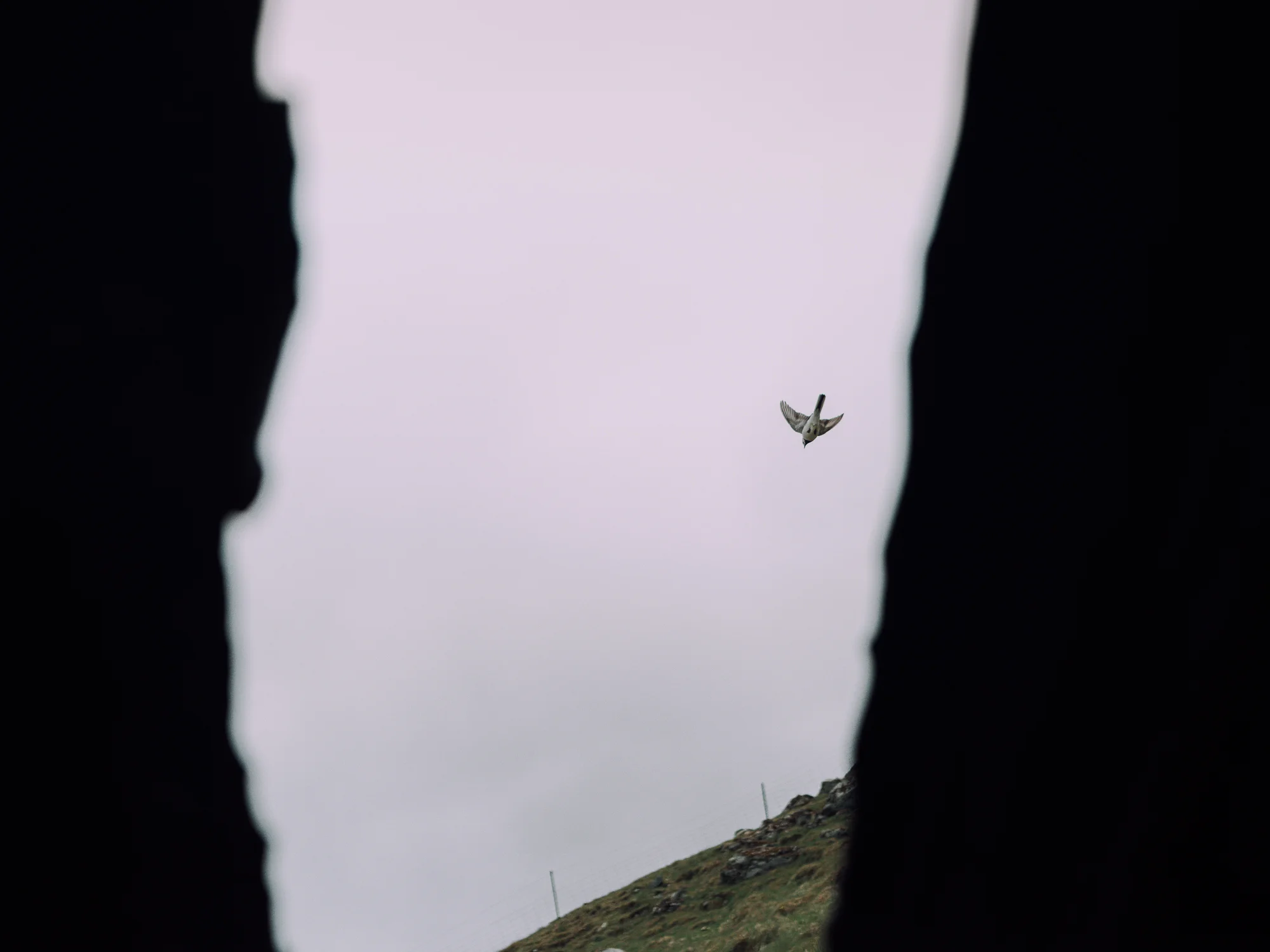 _LFH3166_Iceland.jpg