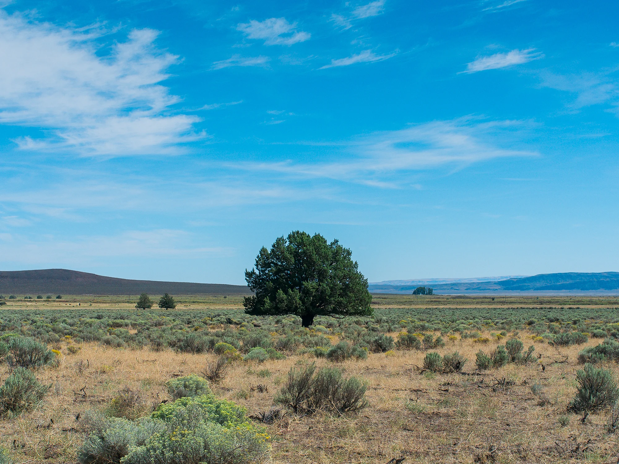 DSCF5388-Edit_OregonRoadTripII.jpg