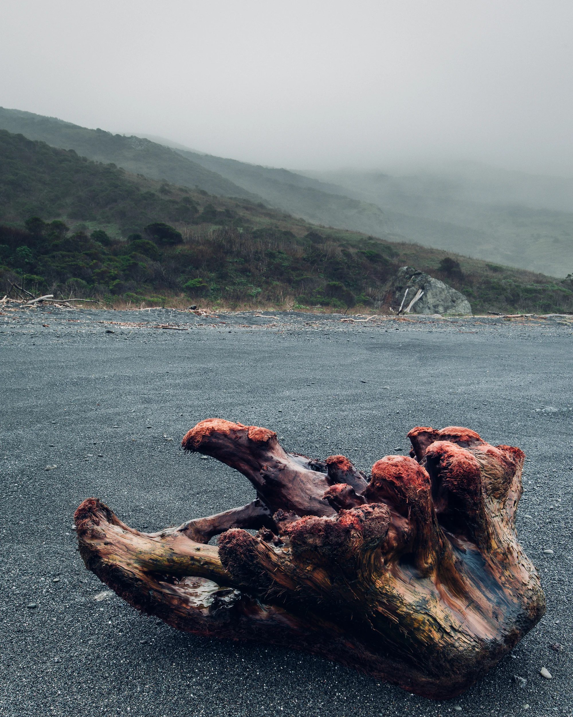 _LFH0491-Edit_LostCoast.jpg