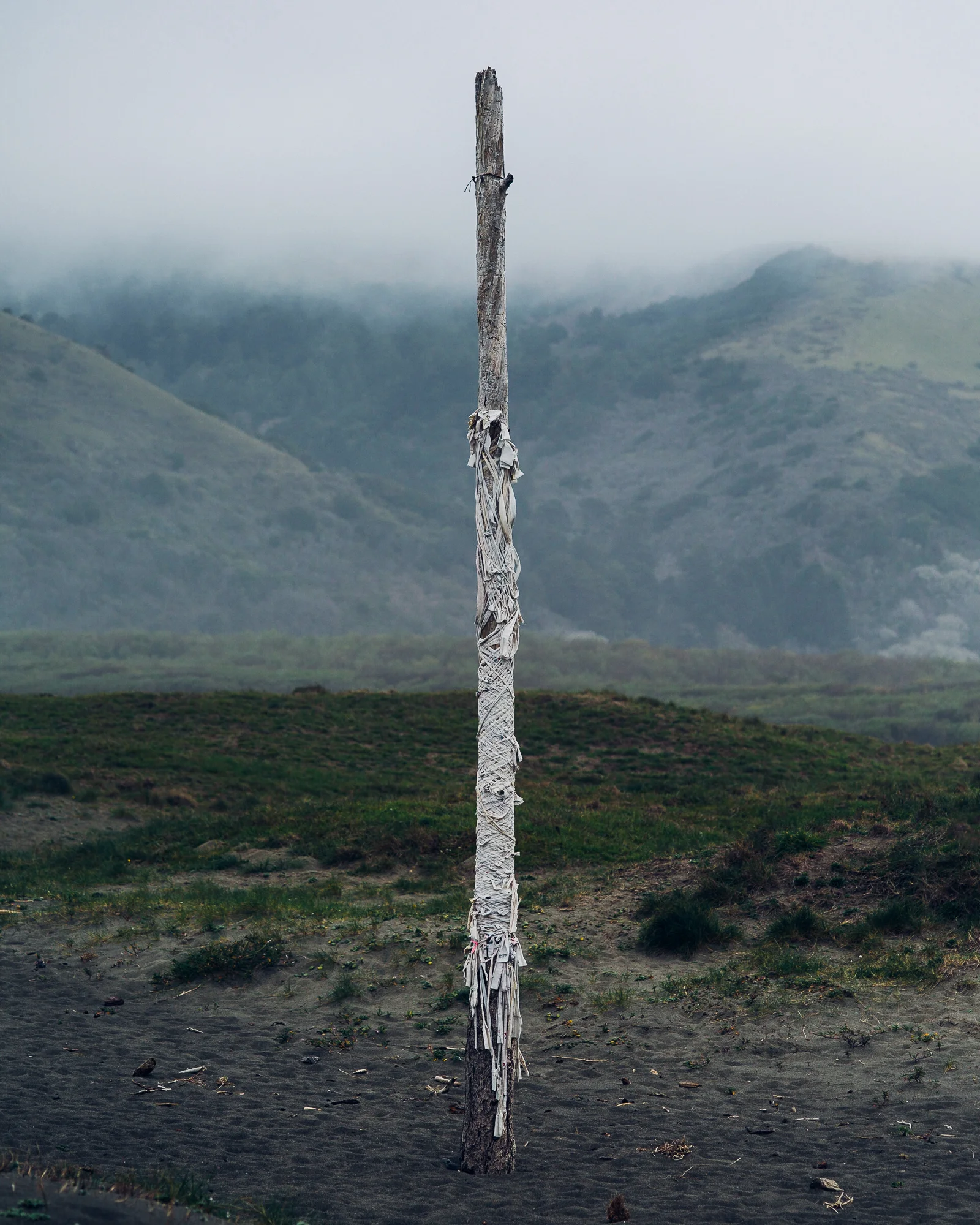 _LFH0625_LostCoast.jpg