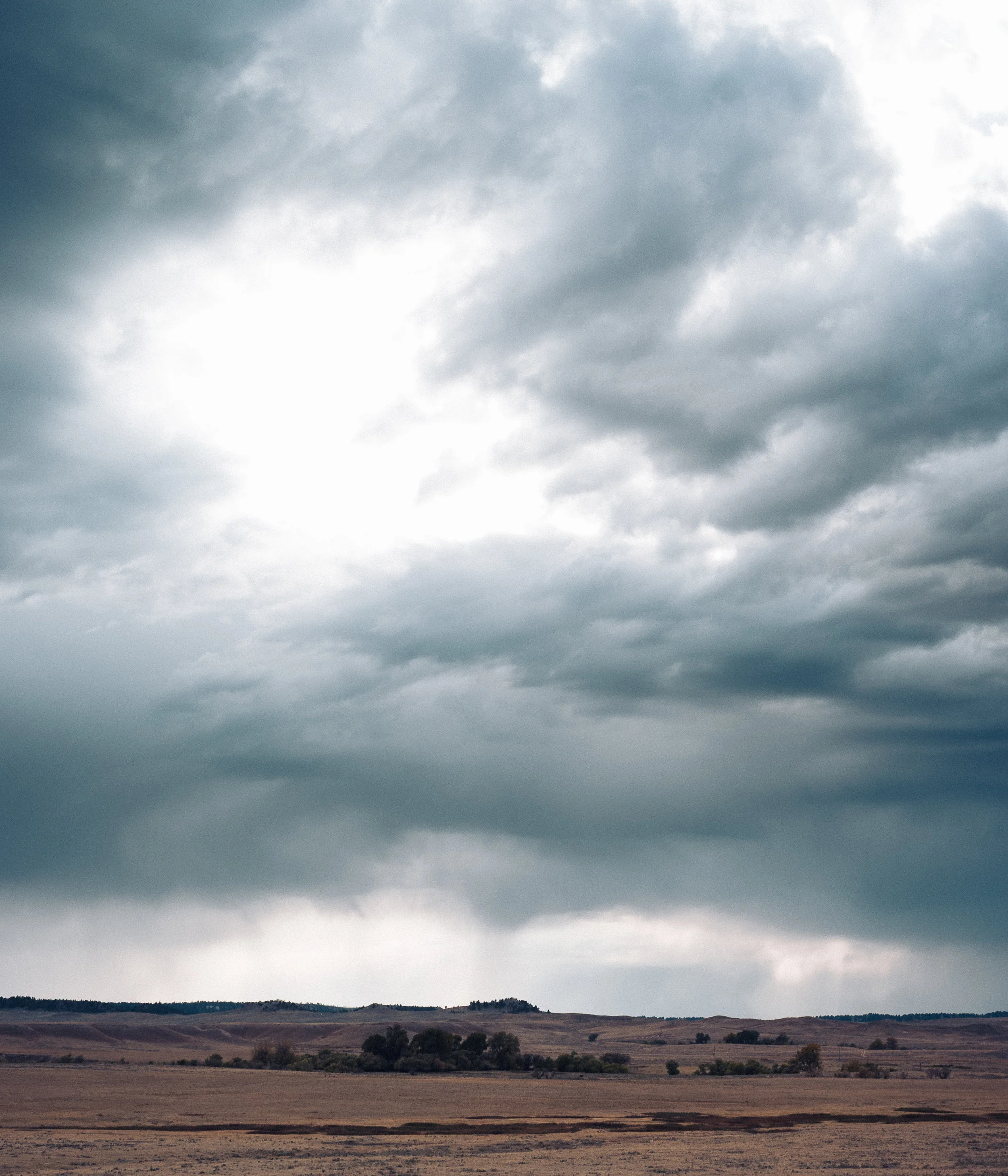 _0012971_WyomingII.jpg