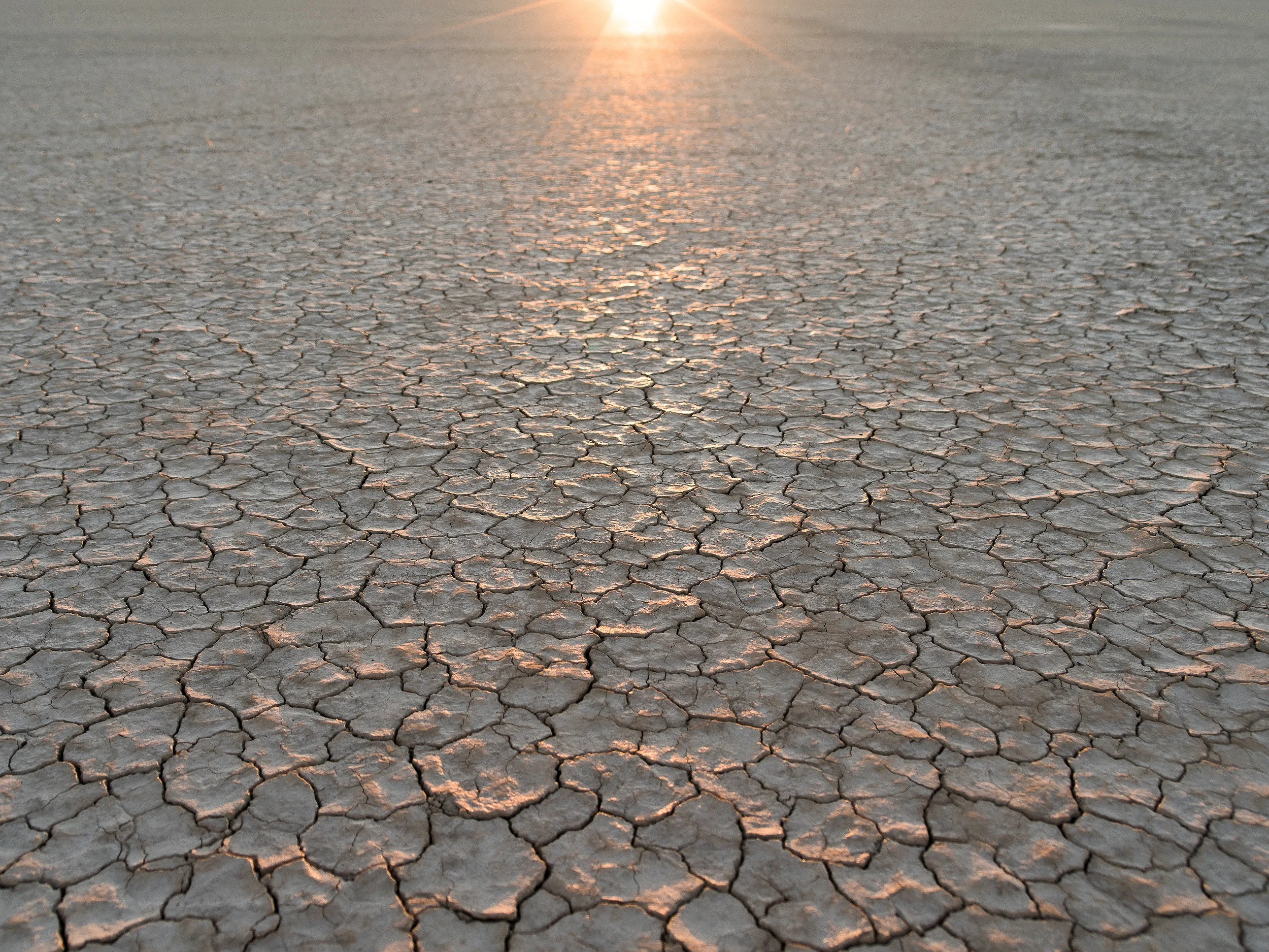 _LFH6076_ColoradoHuntDrive.jpg