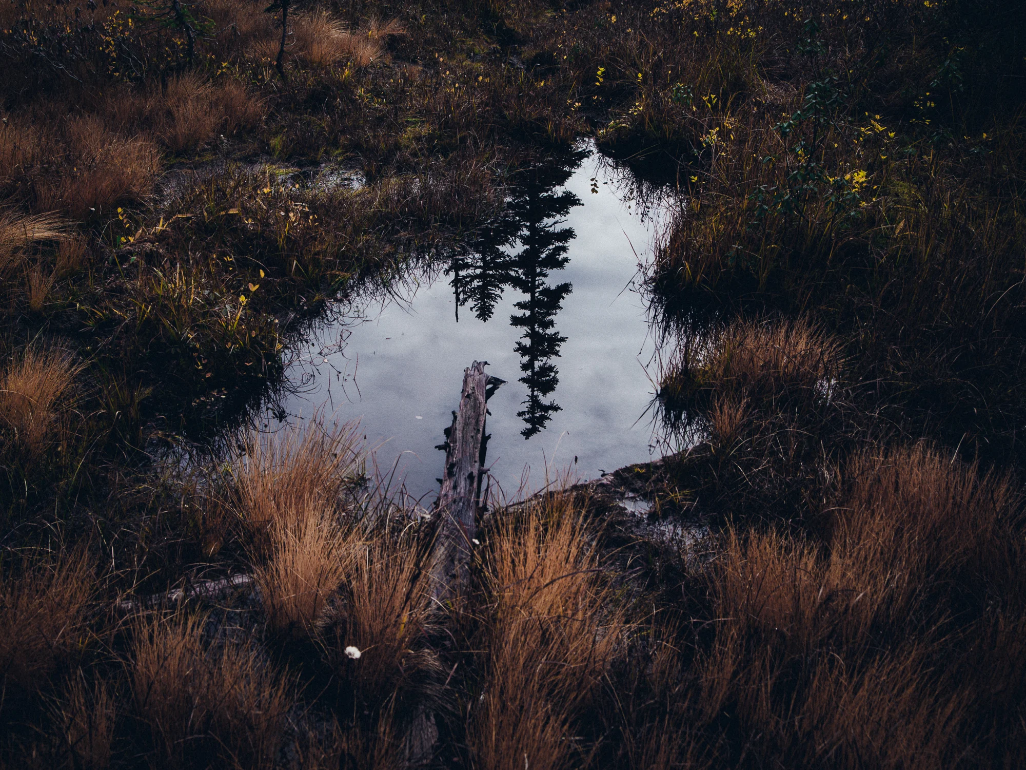 _LFH7115_Enchantments.jpg