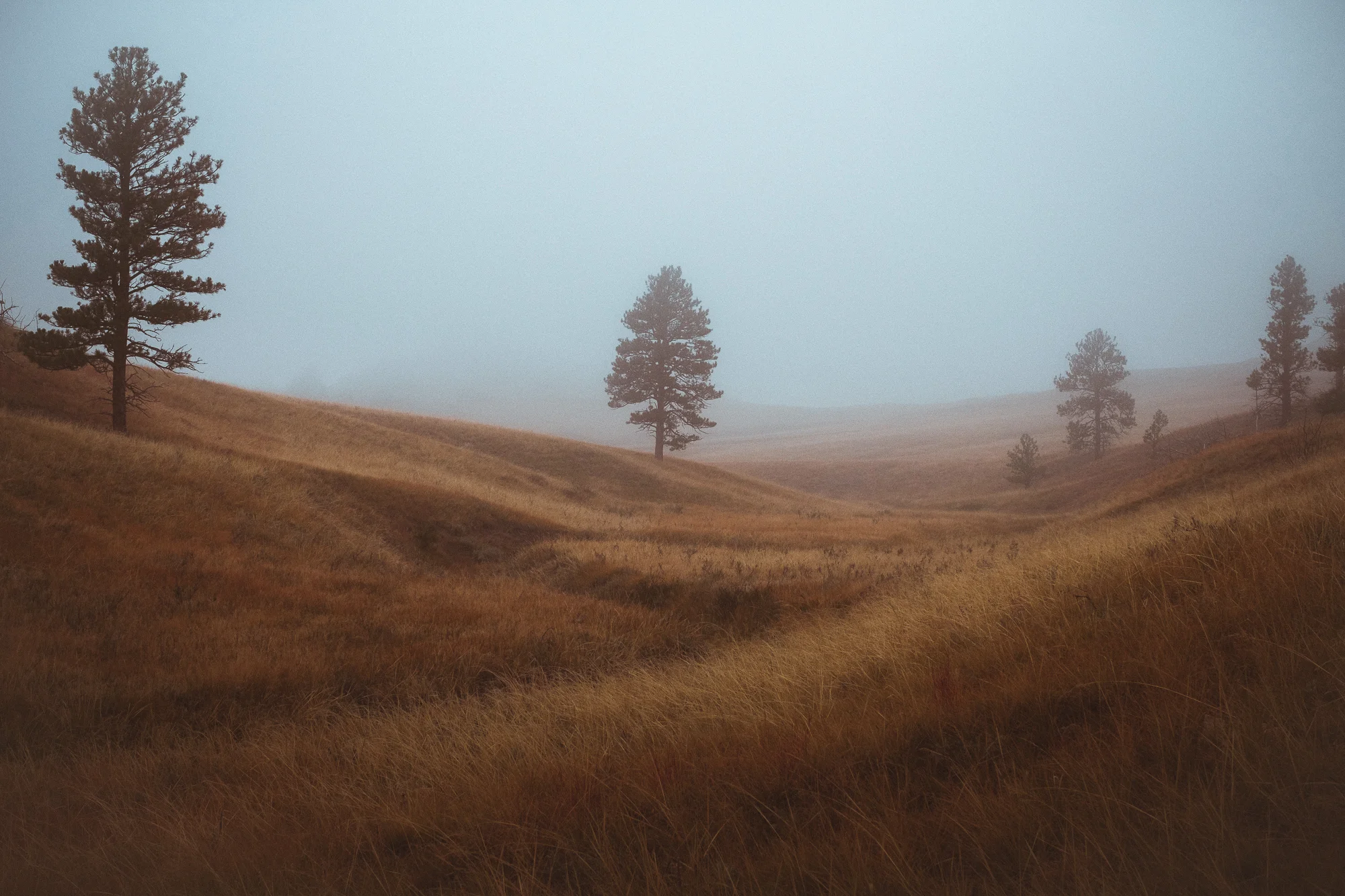 Eastern Wyoming