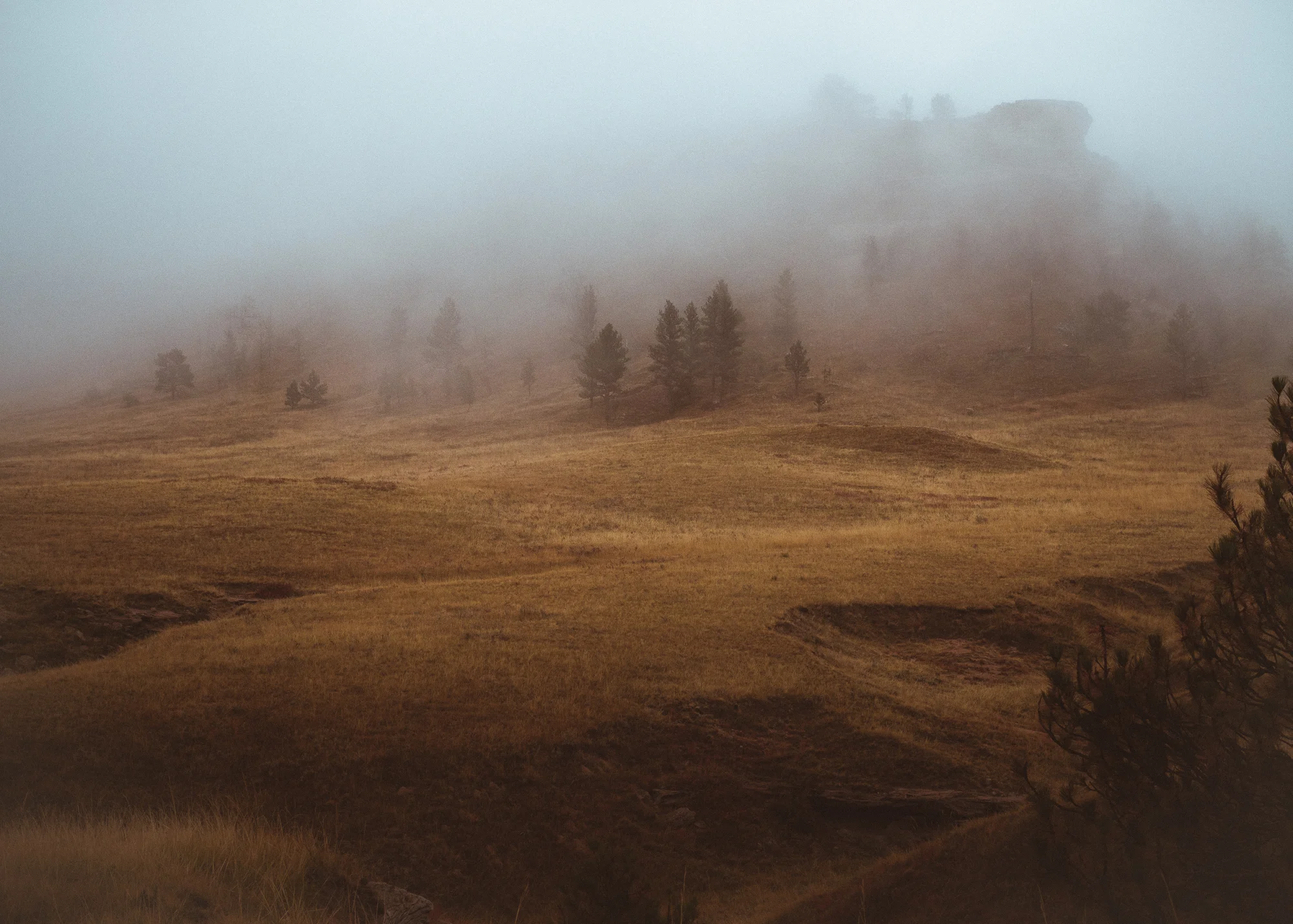 Receding Fog, Eastern Wyoming