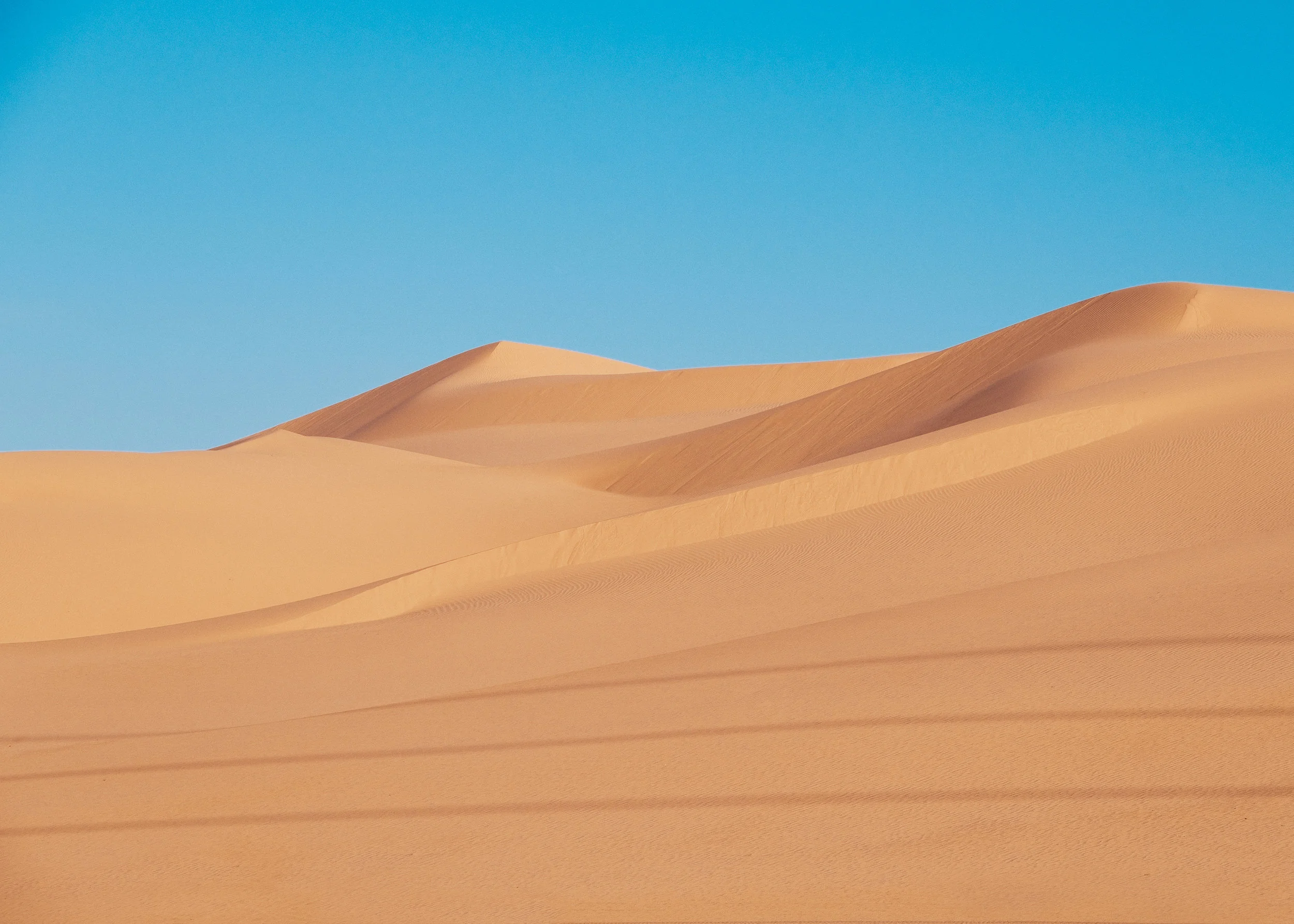 DSCF1990_Dunes-2.jpg