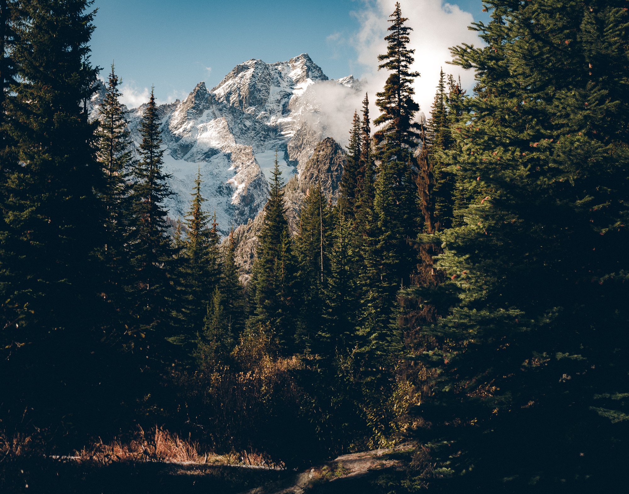 _LFH7623_Enchantments_11x14.jpg