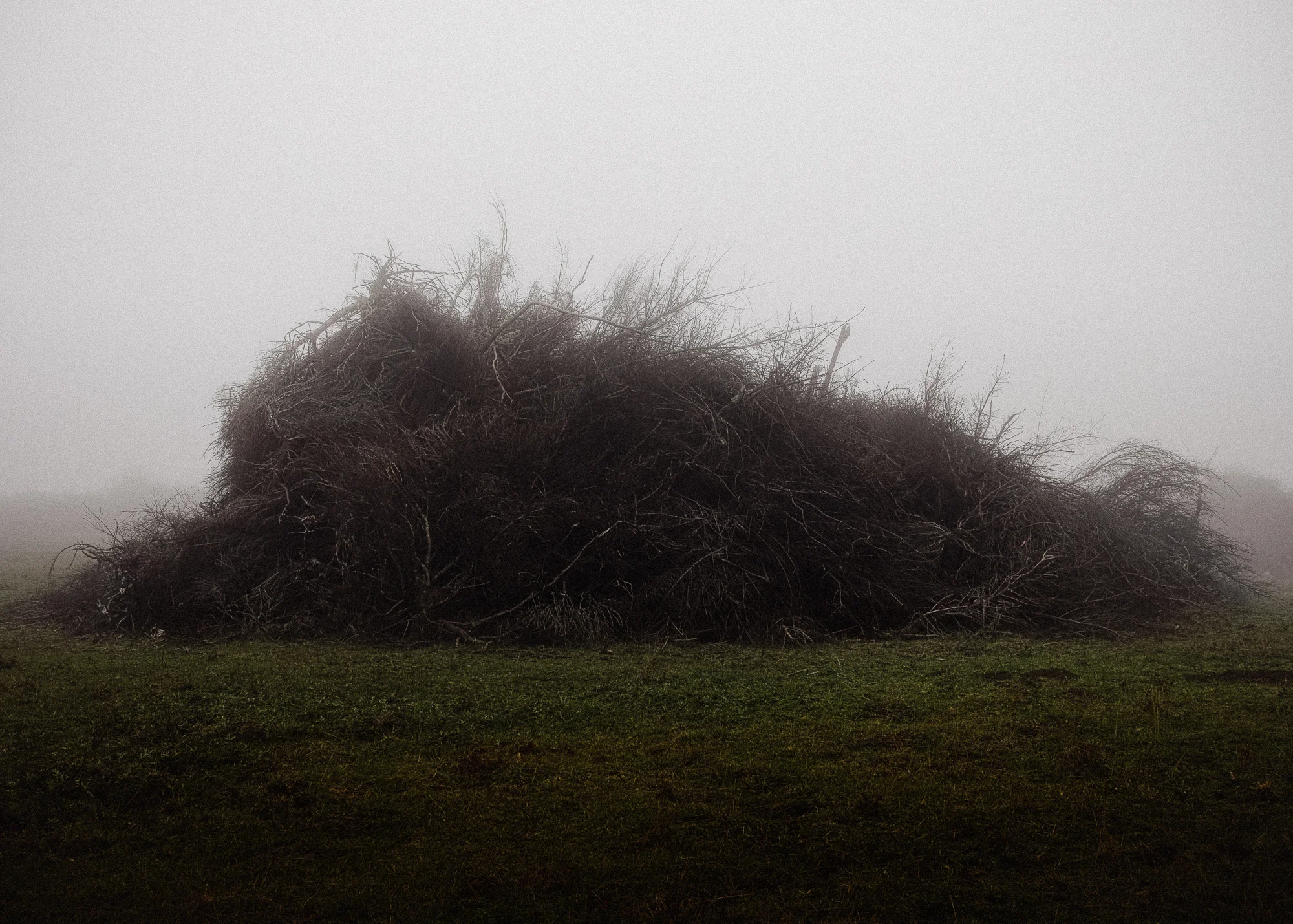 Brush Pile