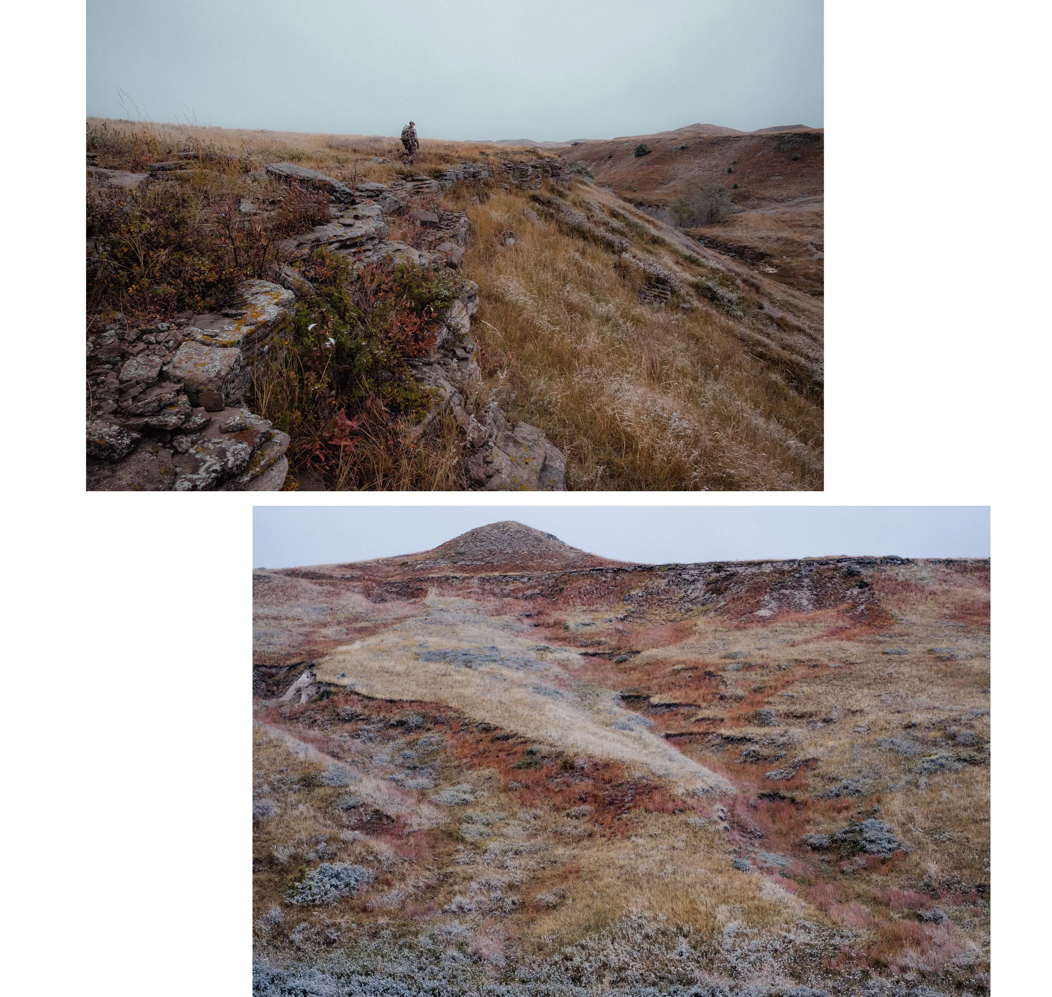 Landscape_02.jpg