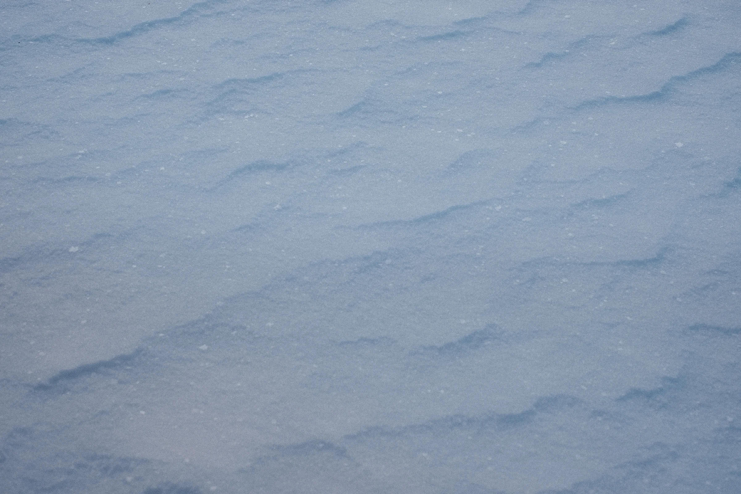 DSCF0009_Snow.jpg