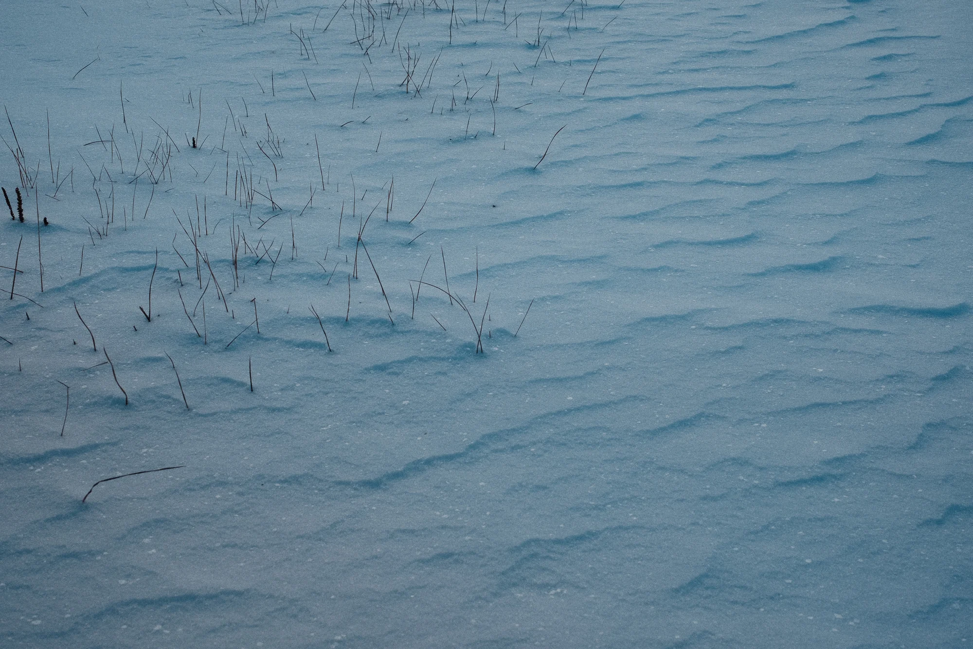 DSCF0008_OuterLimits.jpg