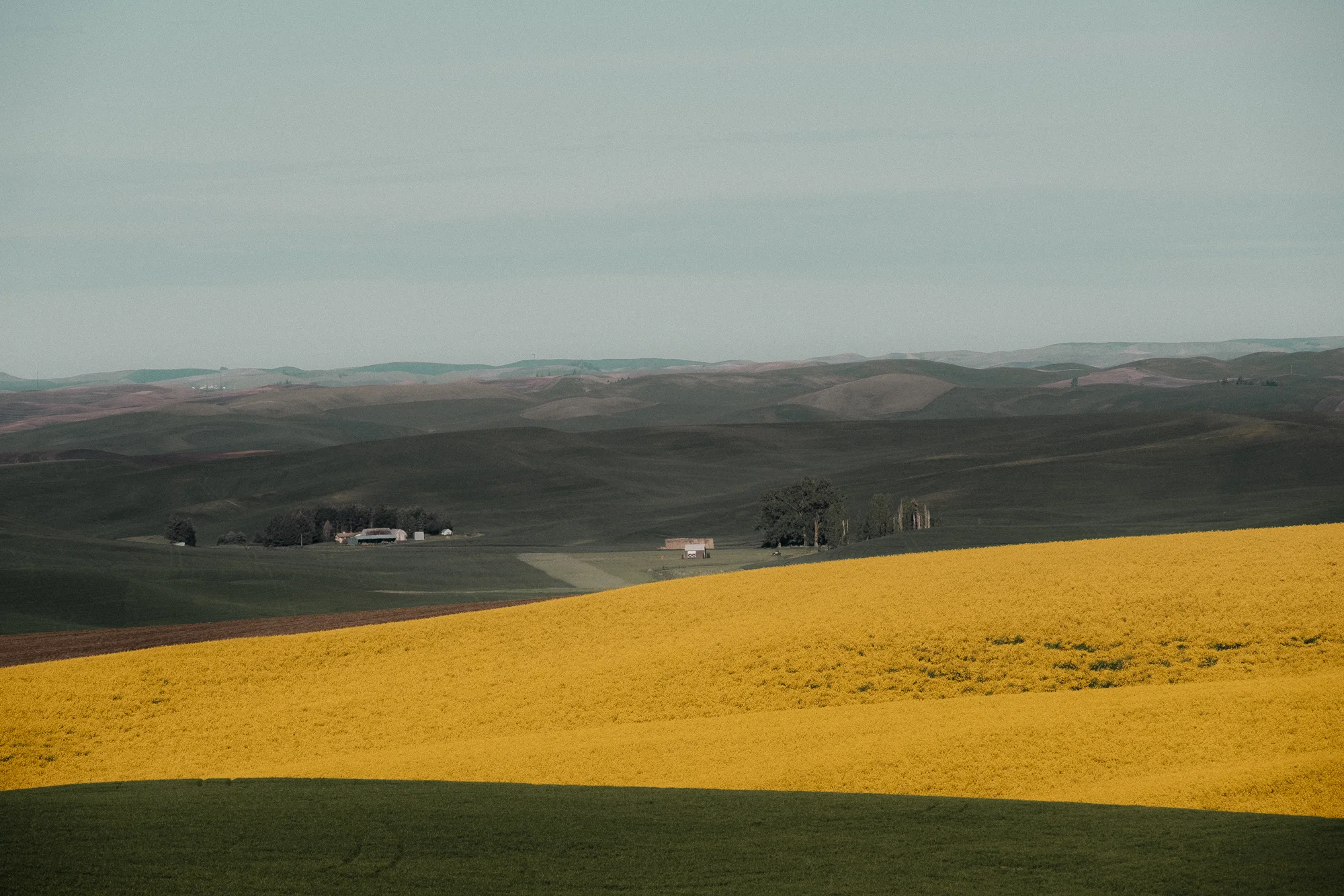 DSCF6578_Palouse.jpg