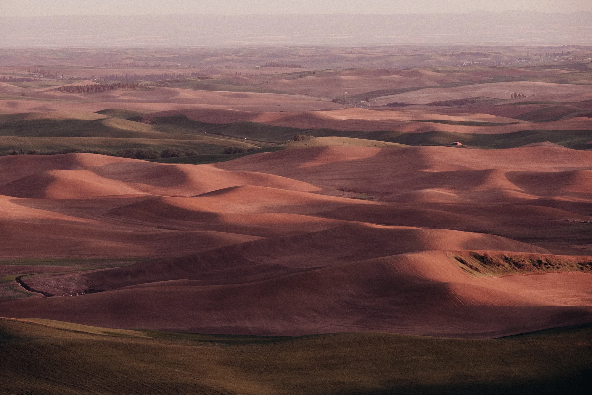 DSCF6763_Palouse2.jpg